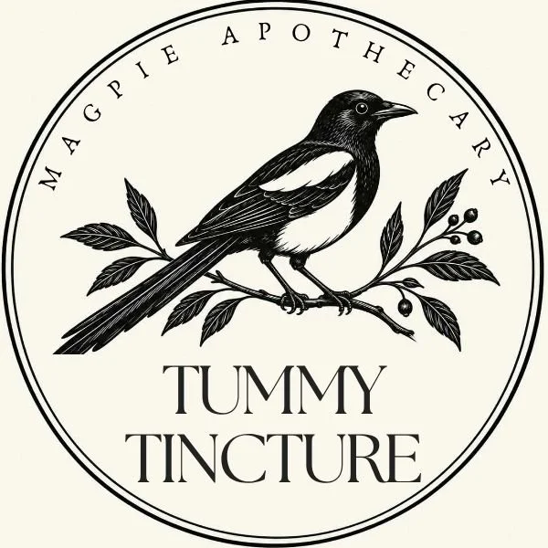 Tummy Tincture, Herbal Extract with Glycerin, 2 & 4 fl. oz.