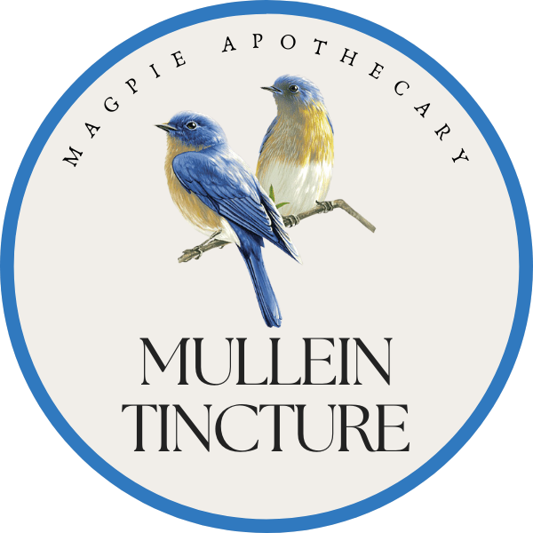 MULLEIN.png