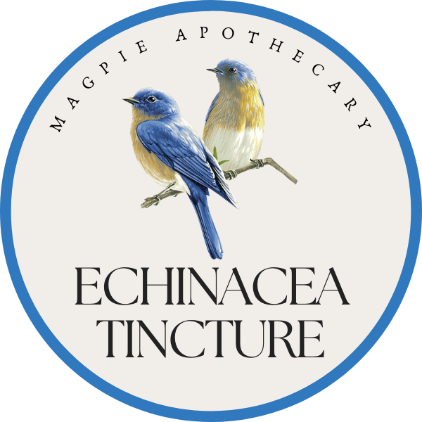 Echinacea.png