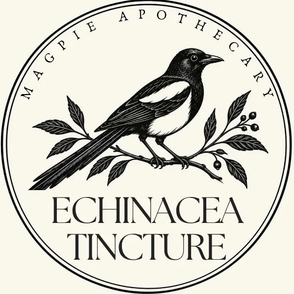 Echinacea Tincture, Herbal Extract with Glycerin, 2 & 4 fl. oz.