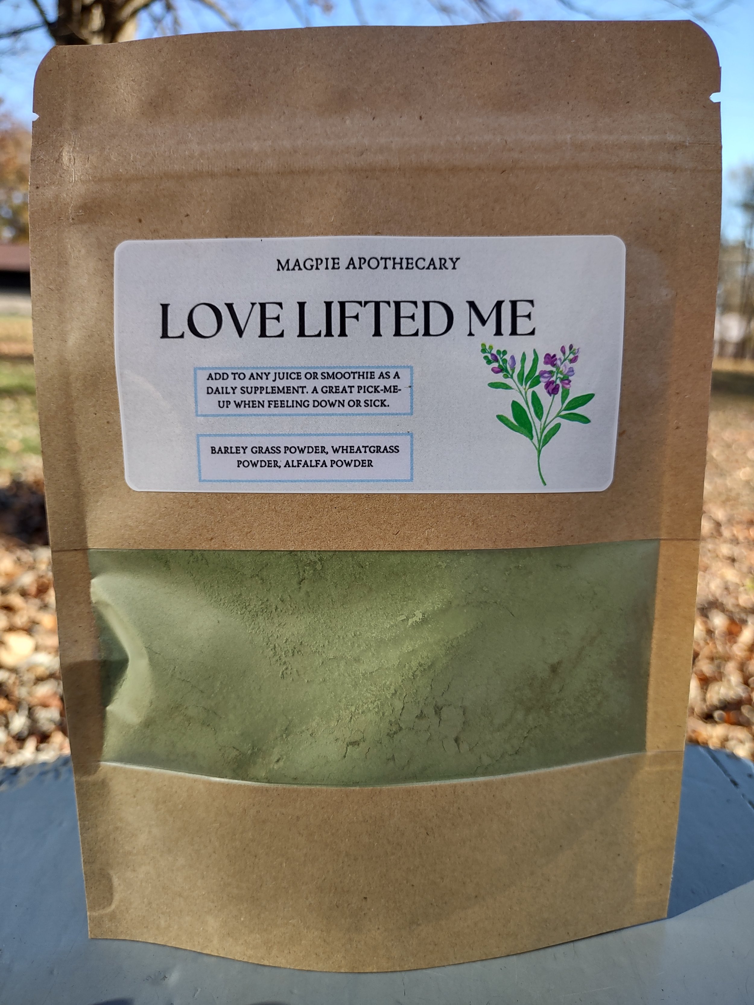love lifted me picture.jpg