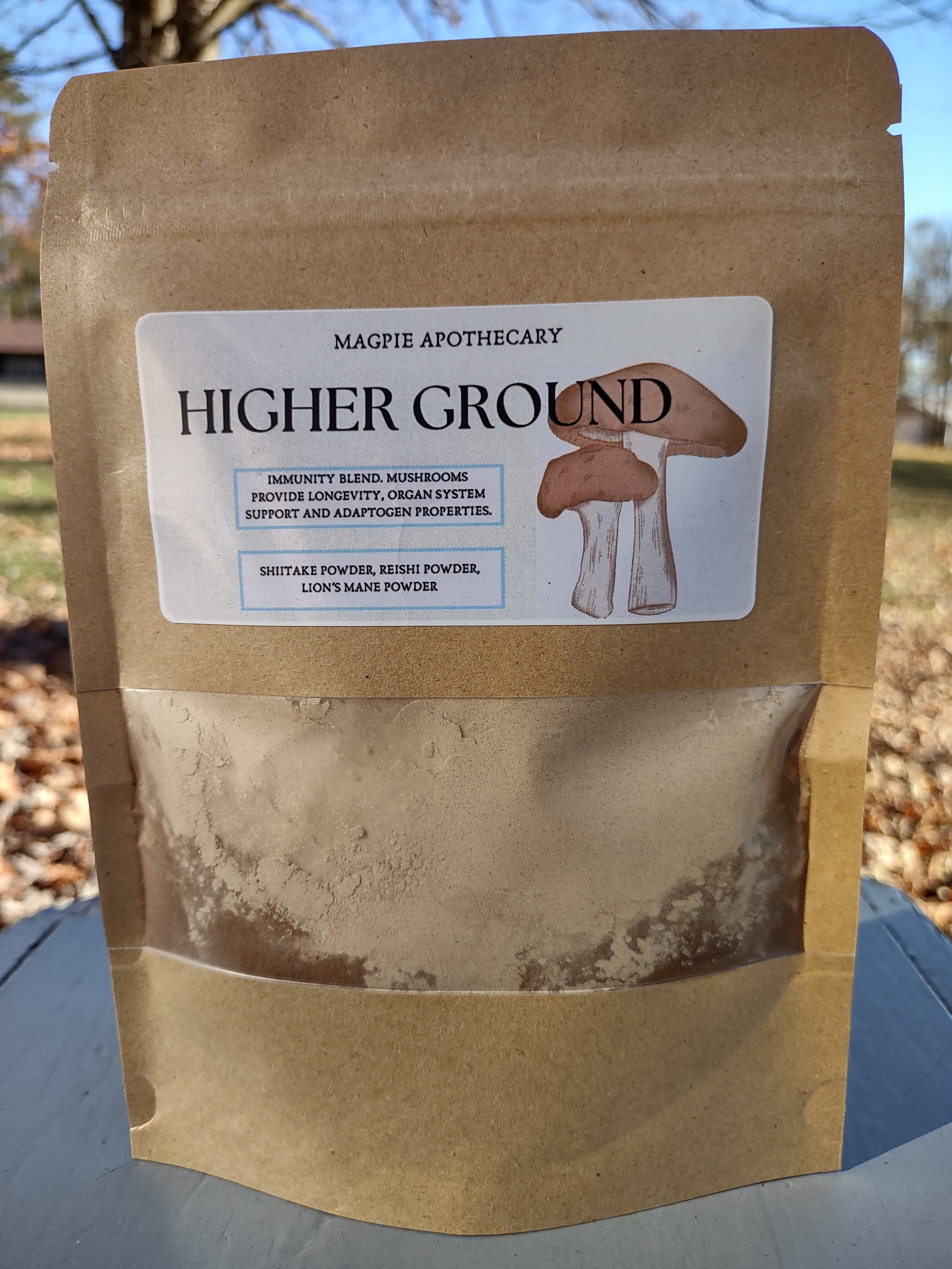 higher ground picture.jpg
