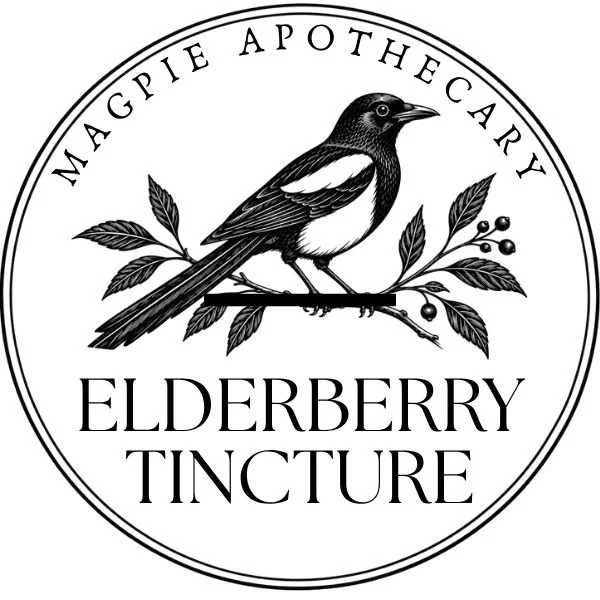 Elderberry Tincture, Herbal Extract with Glycerin, 2 & 4 fl. oz.