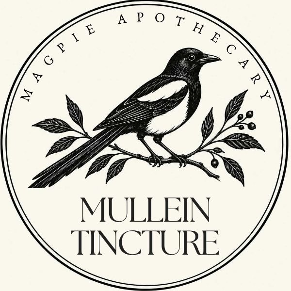 Mullein Tincture, Herbal Extract with Glycerin, 2 & 4 fl. oz.