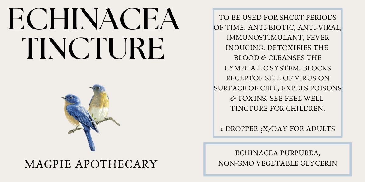 ECHINACEA TINCTURE.jpg
