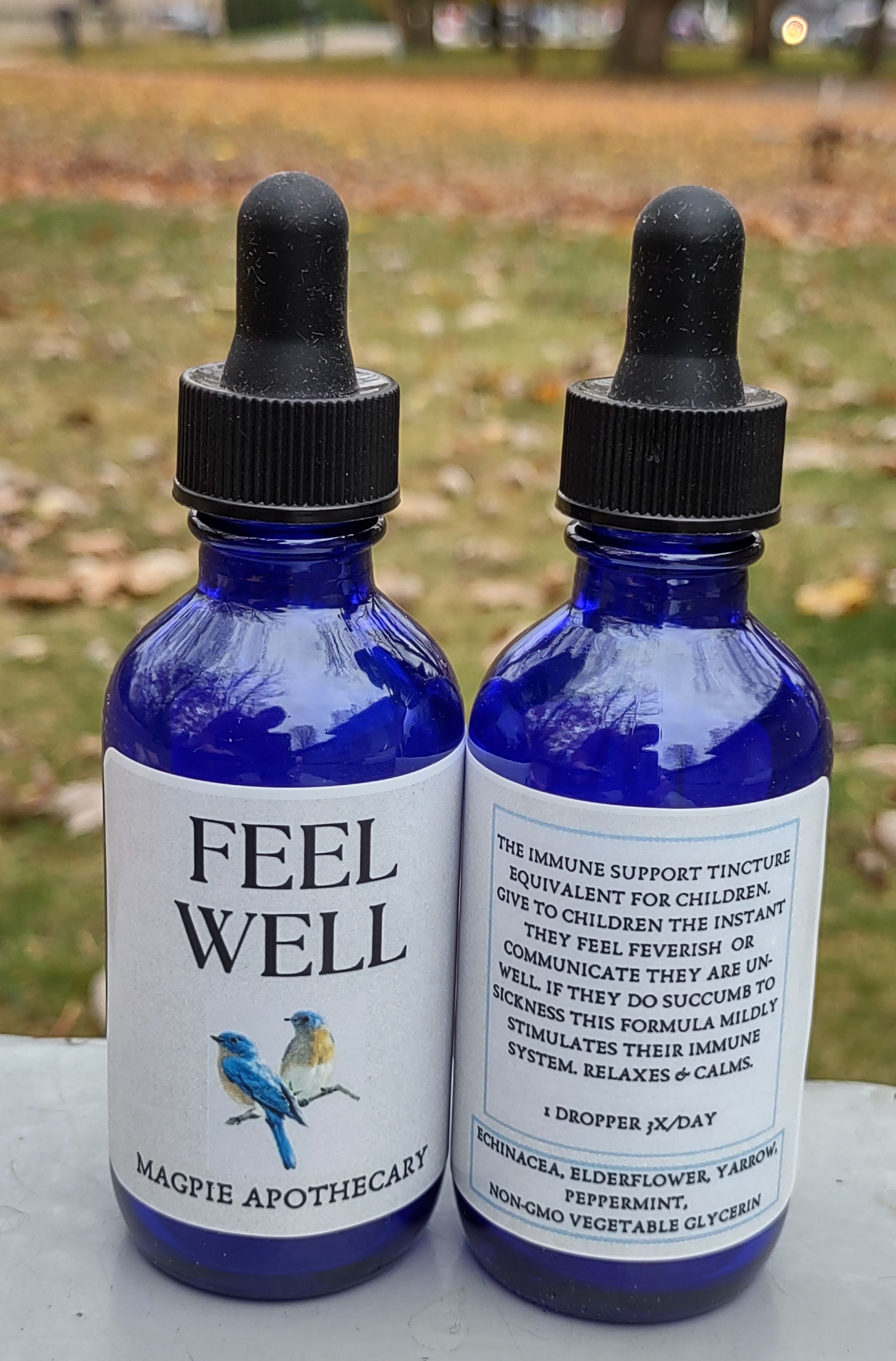 feel well tincture picture.jpg