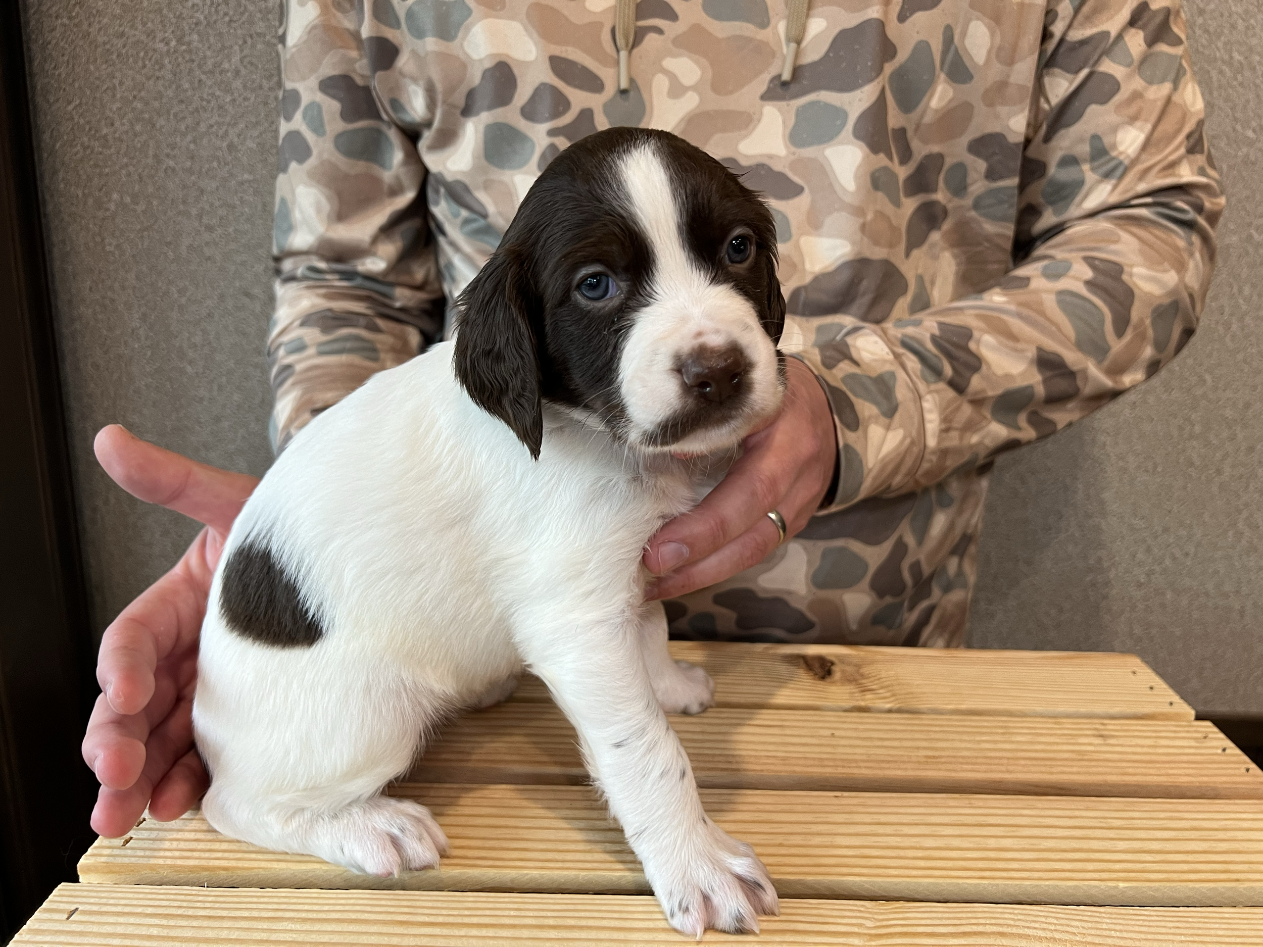 Teal Girl- Evie