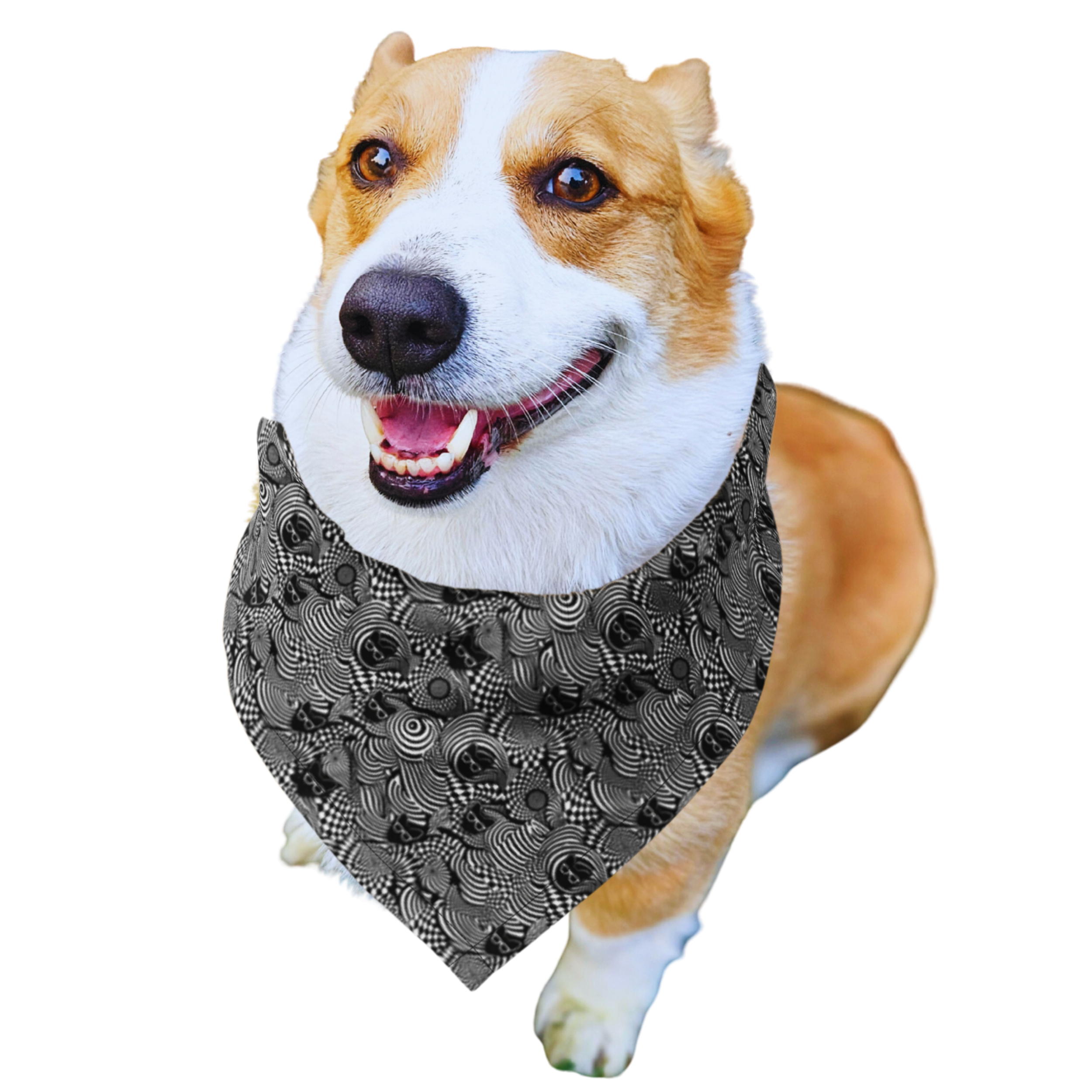 InCorgNito All-Over Print Bandana – Recycled, Lightweight, Multifunctional