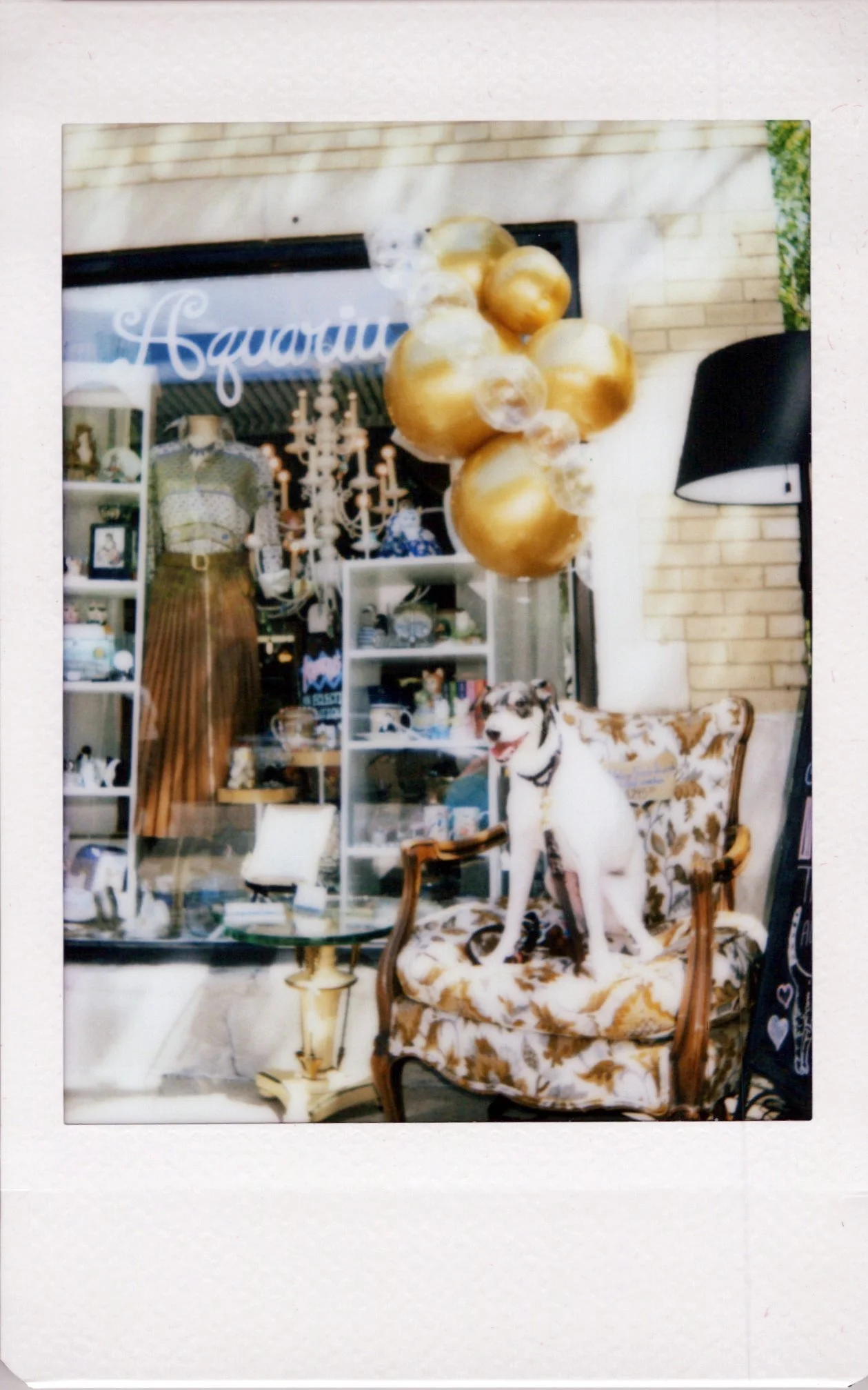 A photo of a store display with a large gold balloon bouquet, a mannequin dressed in vintage clothing, and a white shelving unit filled with various objects. There is a woman sitting in a vintage-style armchair with a dog sitting on the armrest.