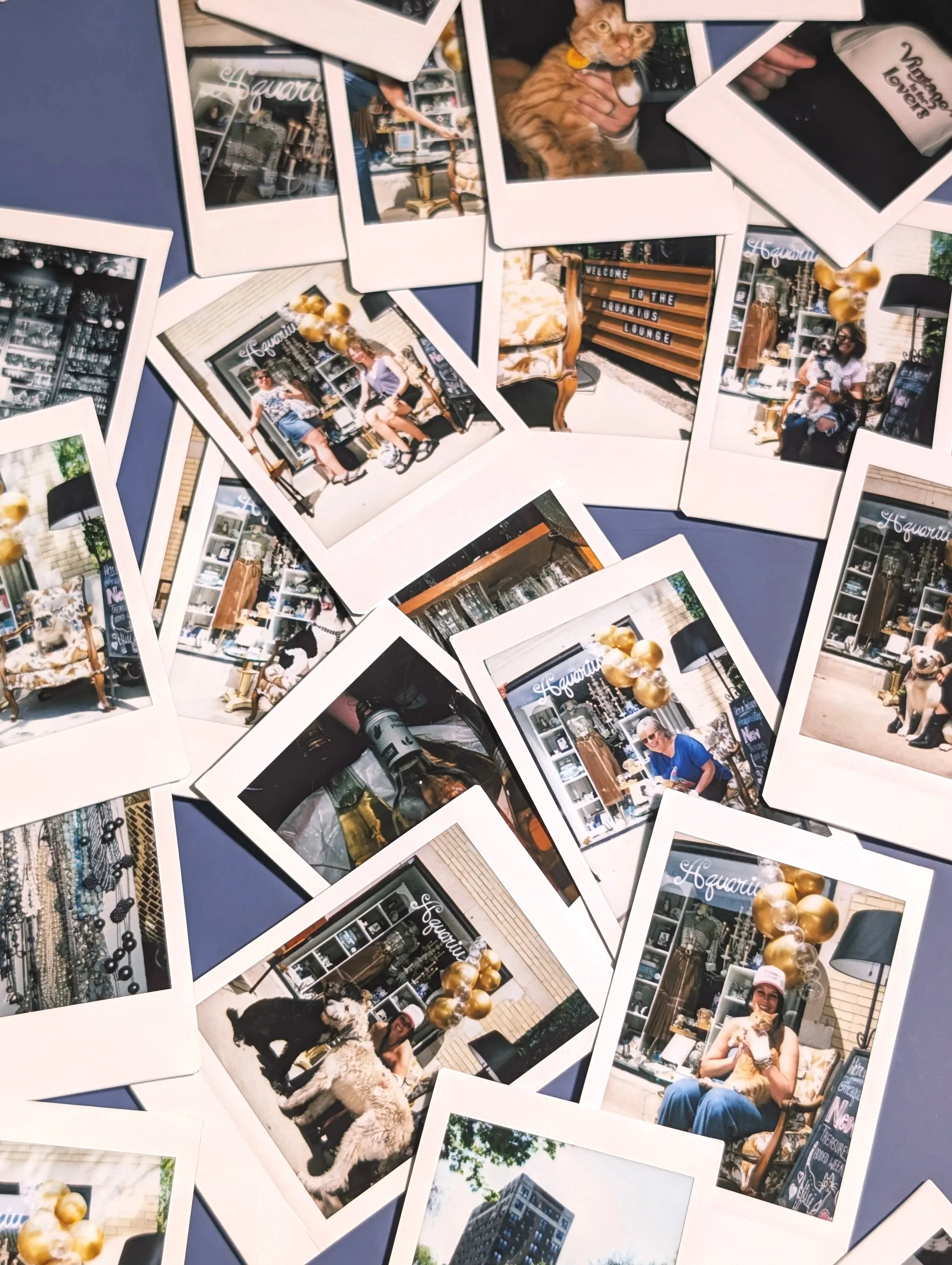 instant photos of chicago pop-up