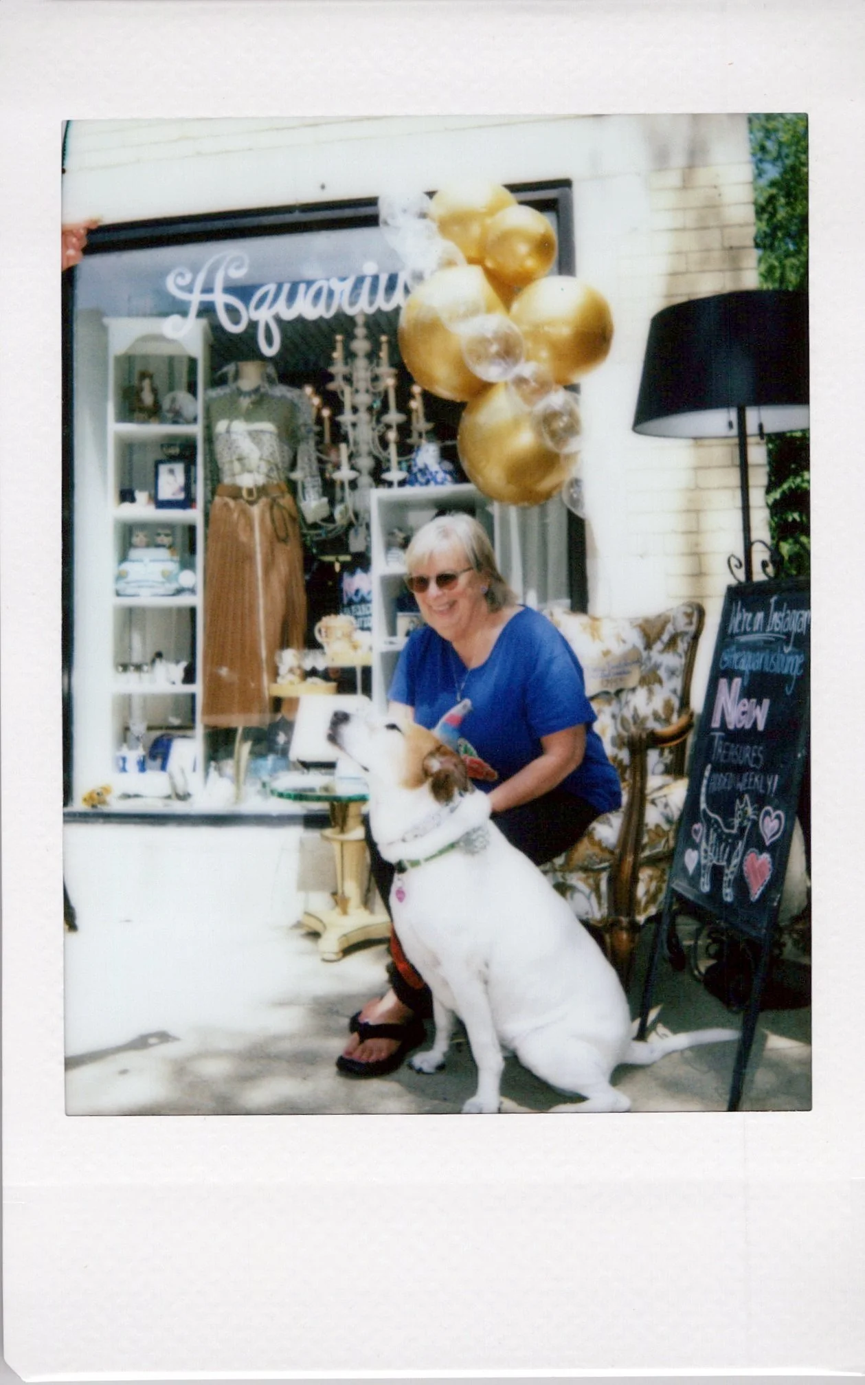 A woman wearing sunglasses and a blue shirt sitting on a chair with a white dog that has black markings and a purple collar in front of her. They are outside a shop with a sign that says 'Aquarius' and decorated with gold balloons and a black chalkbo