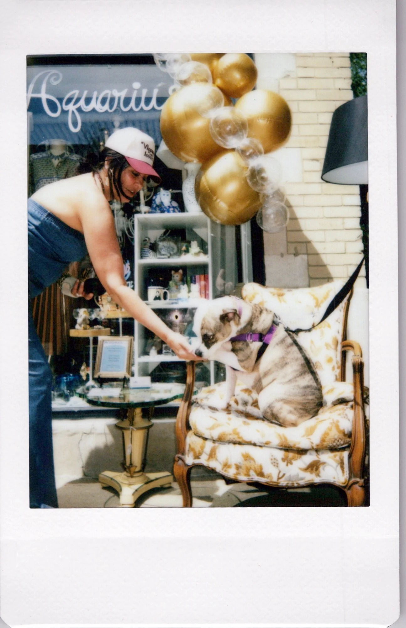 A woman wearing a white cap and denim jeans reaching out to pet a dog sitting on a vintage-style floral armchair. There are gold and transparent balloons and a bookshelf with various items in the background.