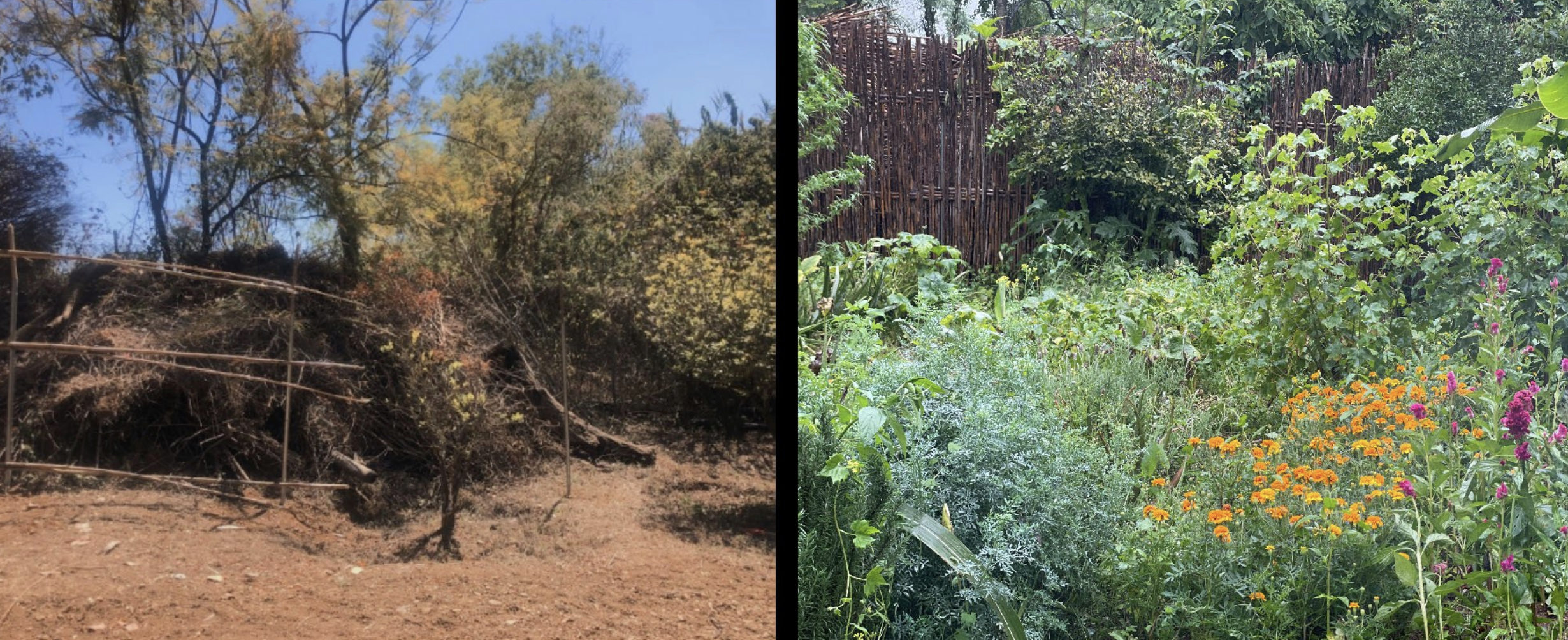 Captura de pantalla 2025-03-20 a la(s) 11.16.10 p. m..png