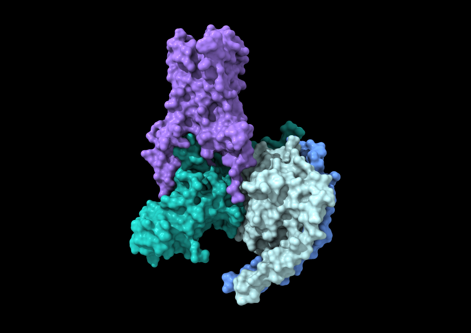 Ab Natural Rceptor Receptor Interaction — Abby Nautel