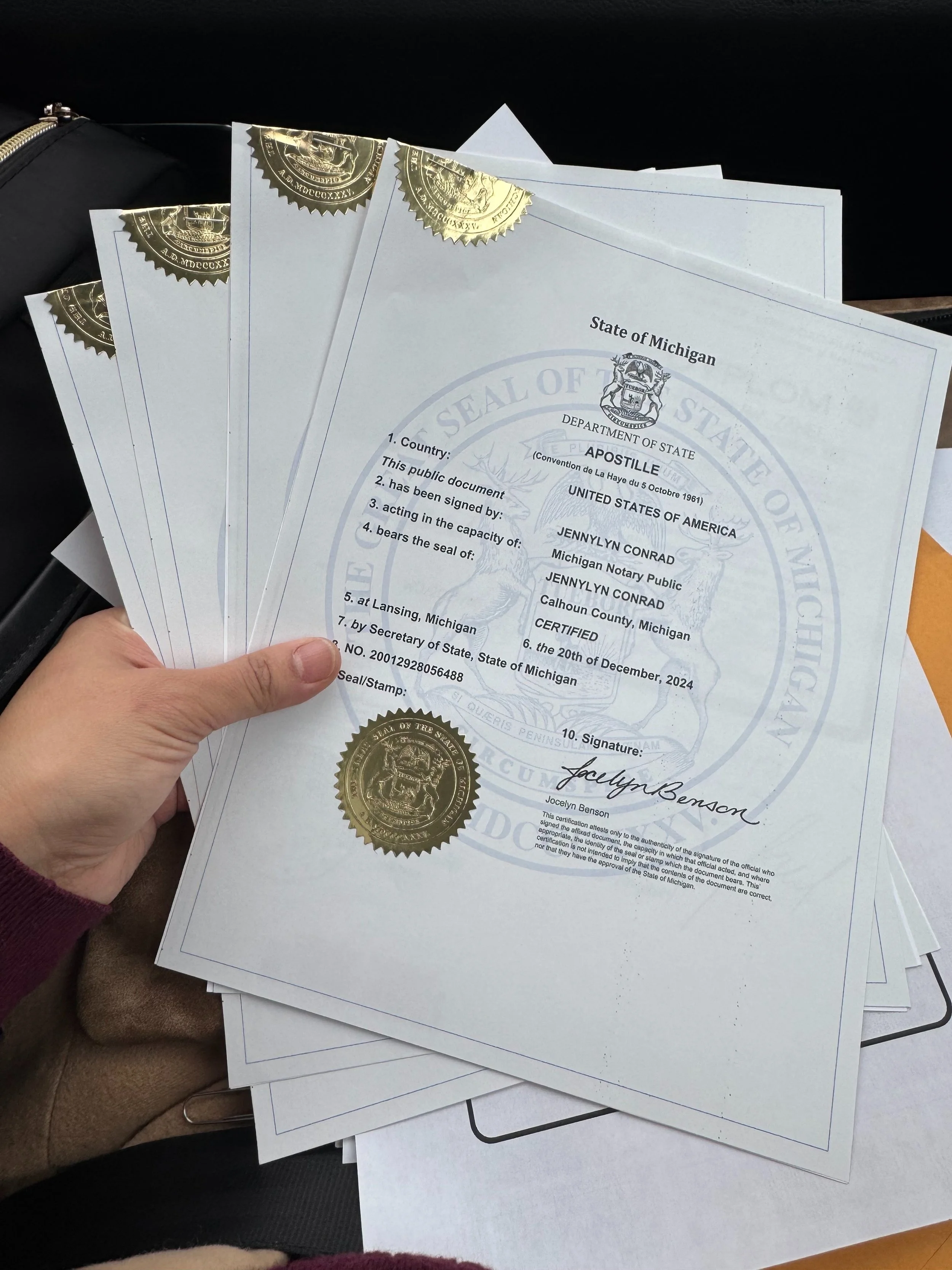 Apostille - (International Document)