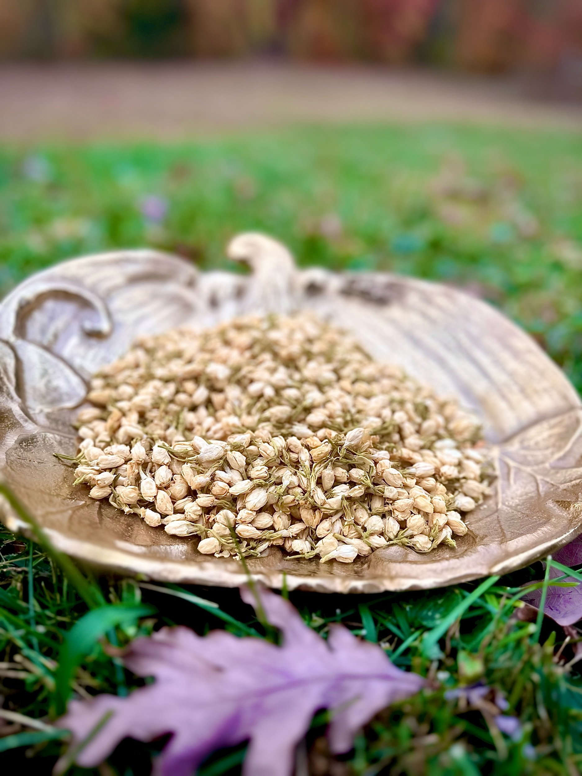 Jasmine 1 OZ