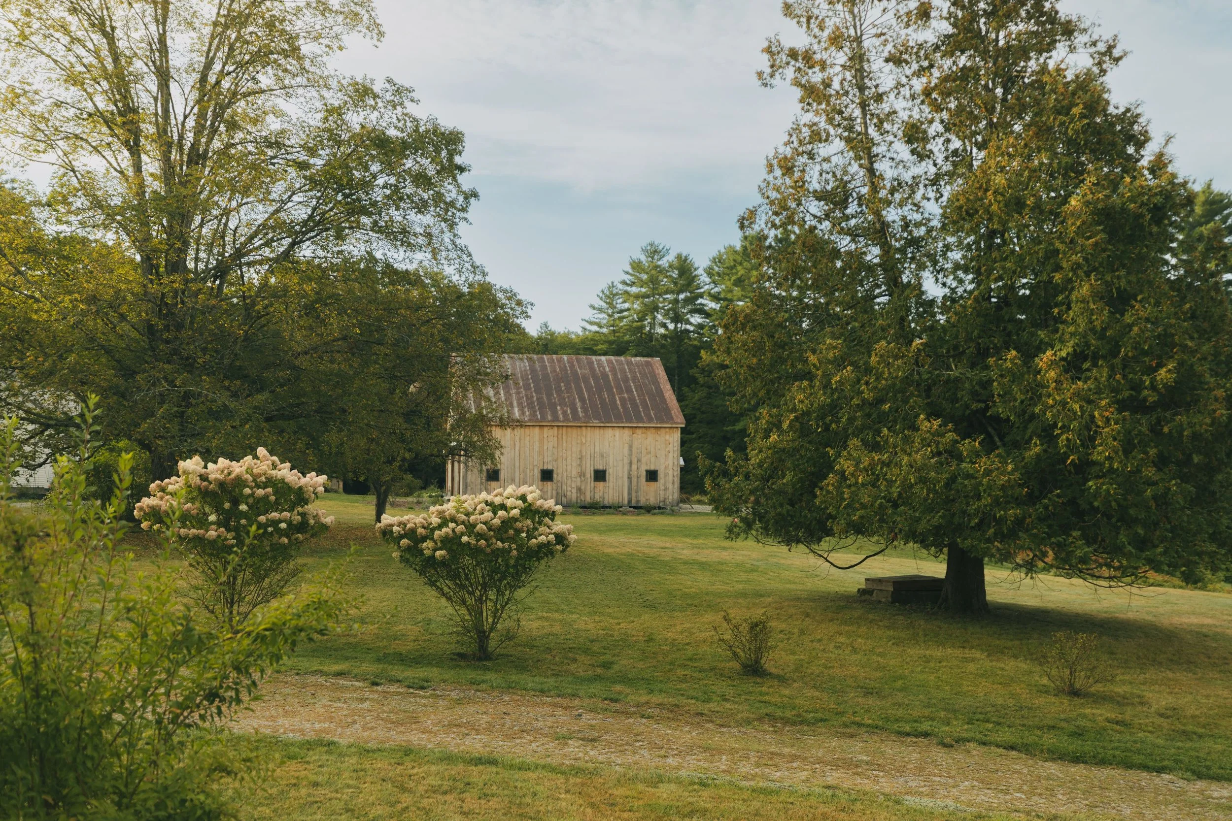 Photography by Jess Amrich