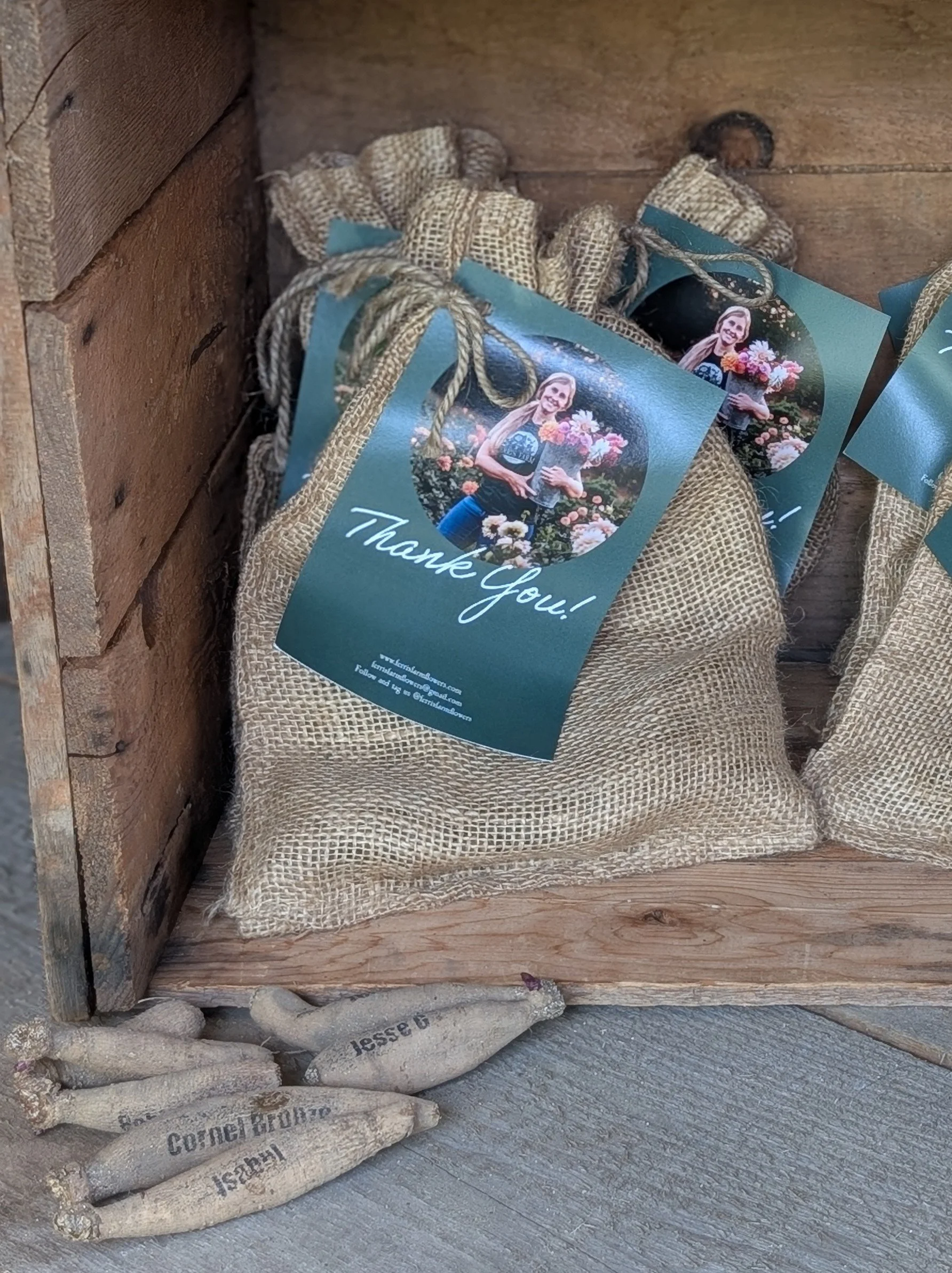 Dahlia Tuber Gift Collection