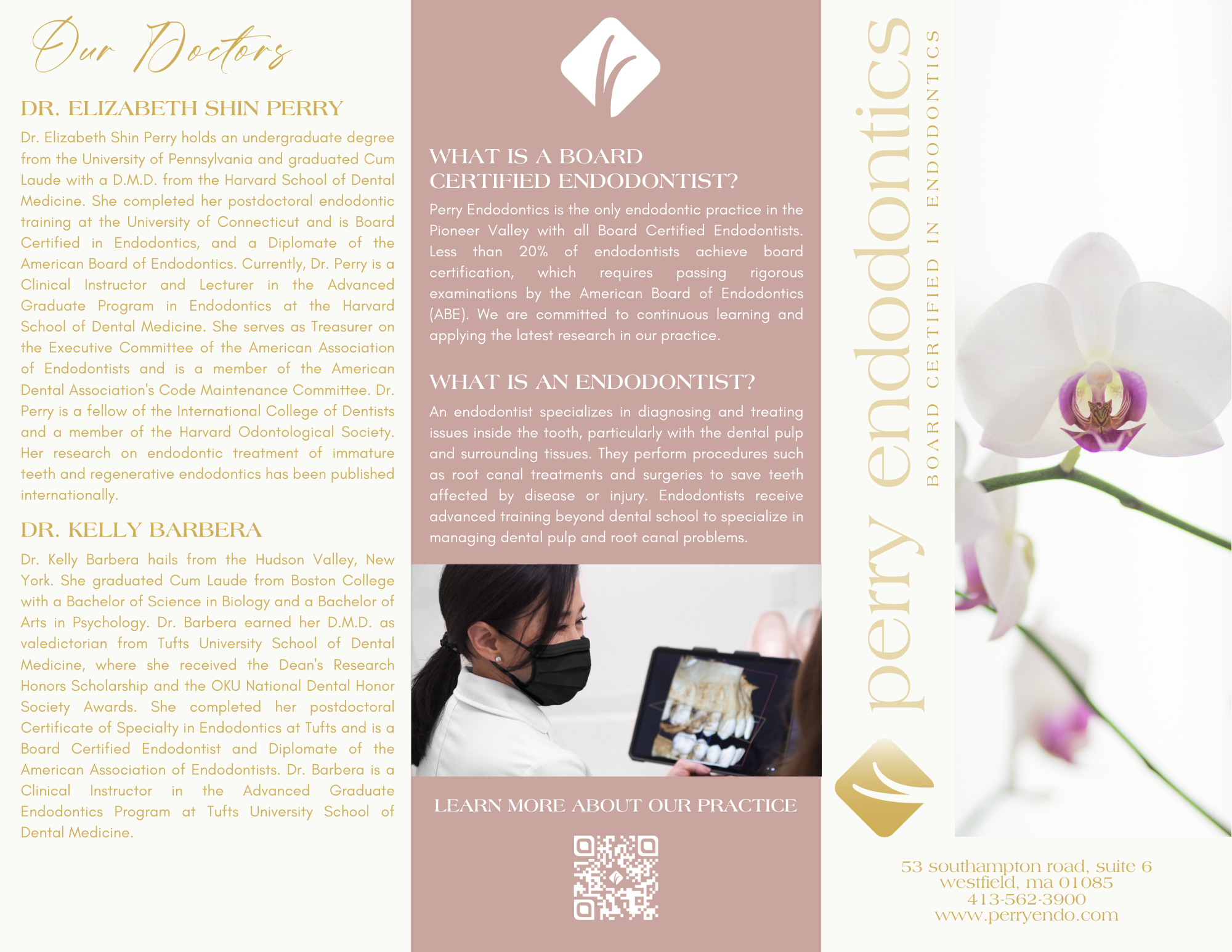 Brochure for Perry Endodontics featuring a white orchid flower on the right side, a photo of a female dentist wearing a mask, and text describing the doctors and services.