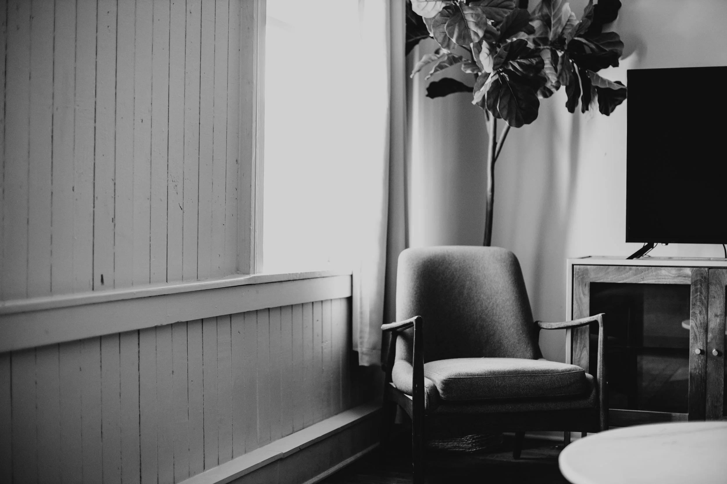 A black and white photo of a cozy interior corner with a cushioned armchair, a large potted plant, a TV on a wooden stand, and two windows letting in natural light.