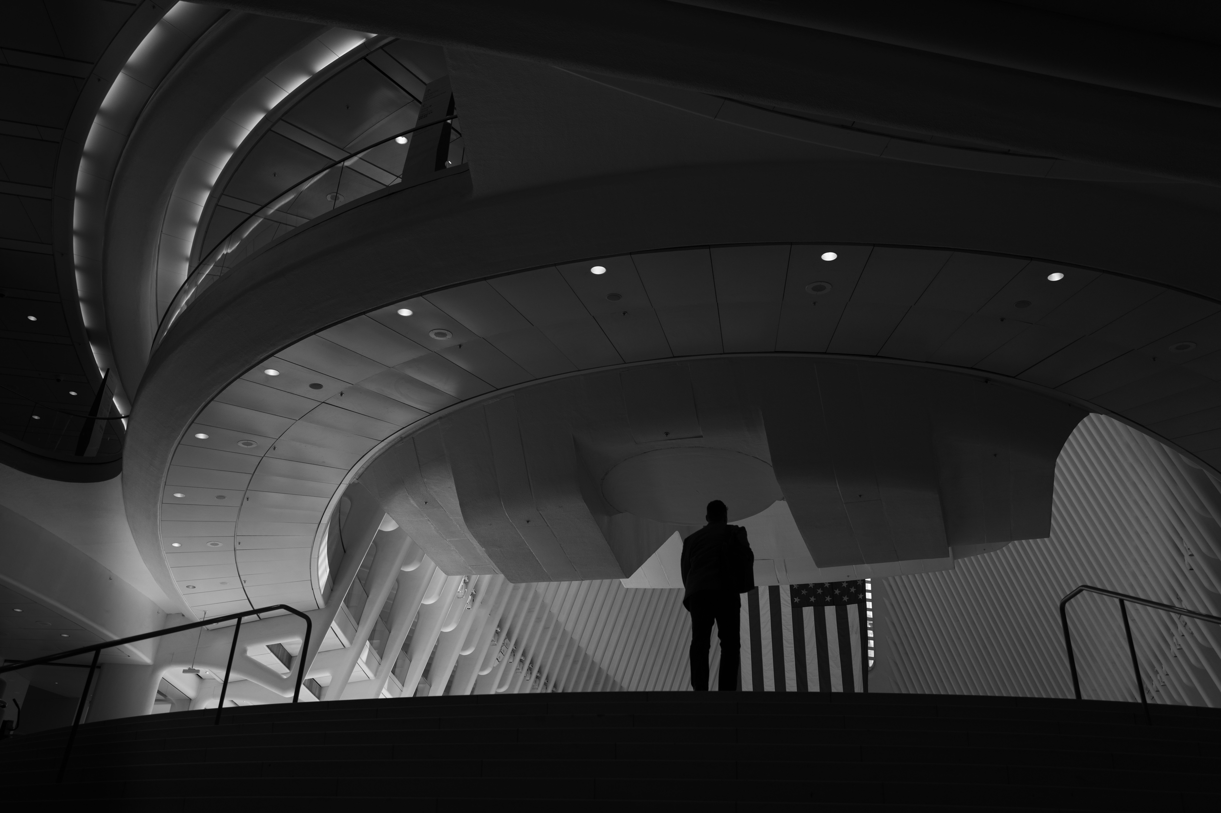 oculus for wix.png