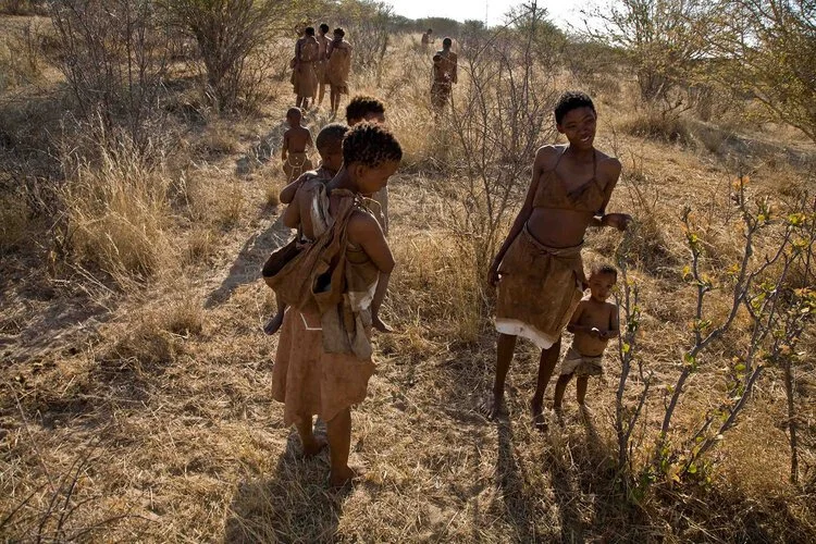 Learn foraging &amp; tracking skills from the local San Bushmen