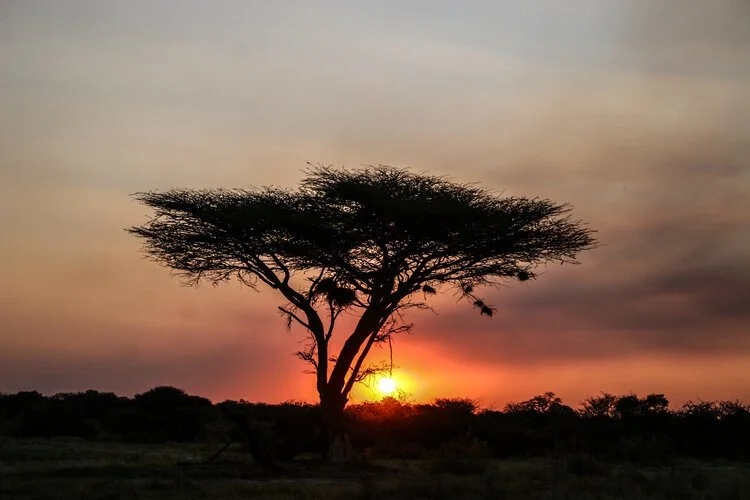 Sunset meditation