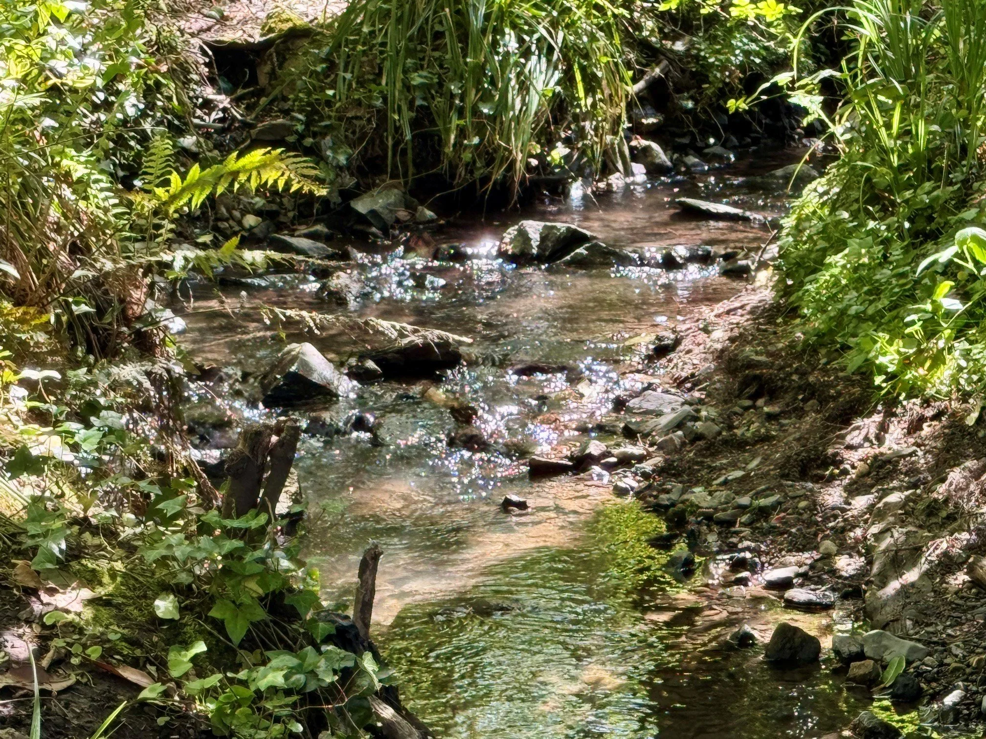 Blessing the Waters, and exploring the Water spirits