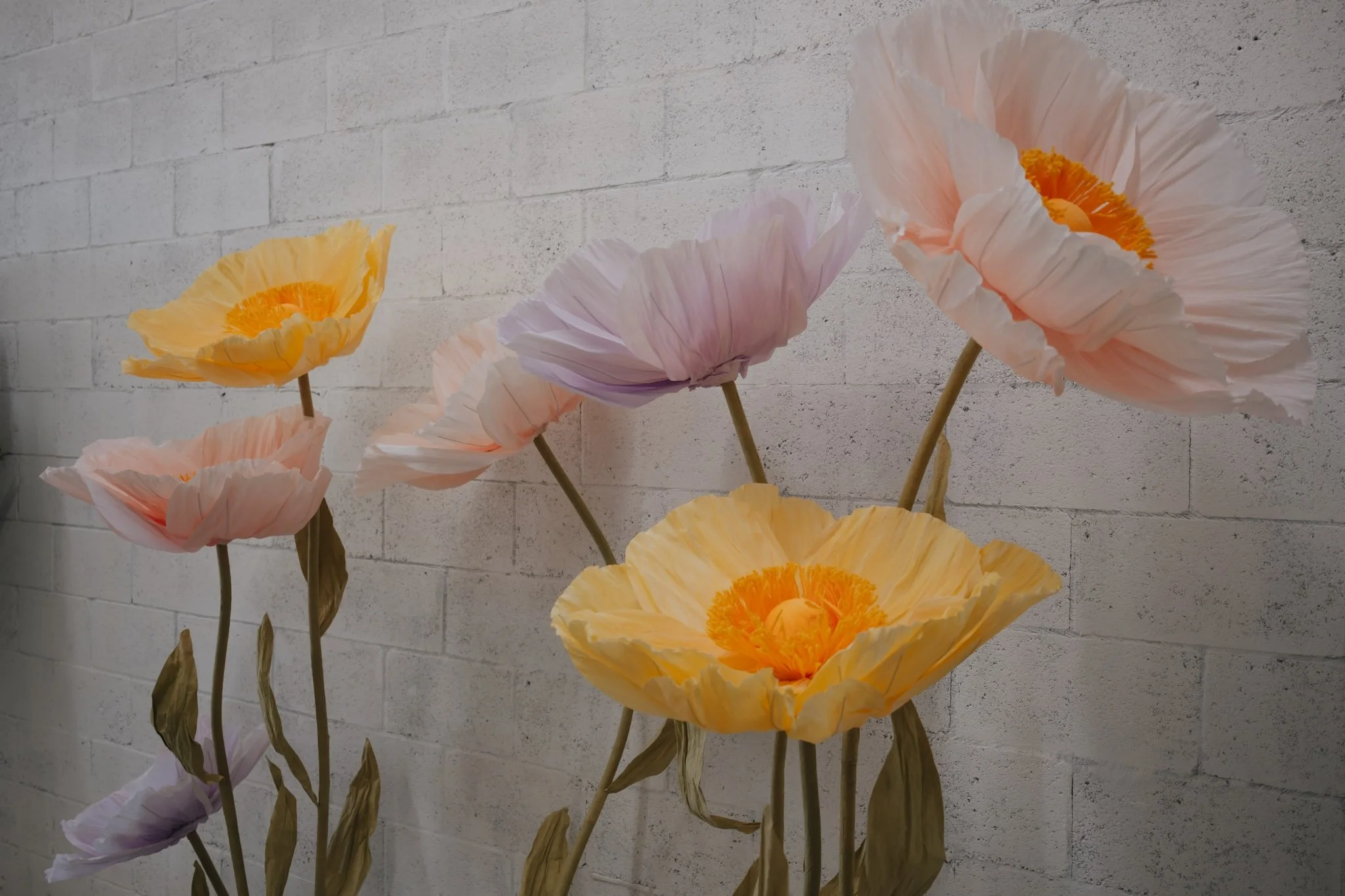 Spring mini studio setup