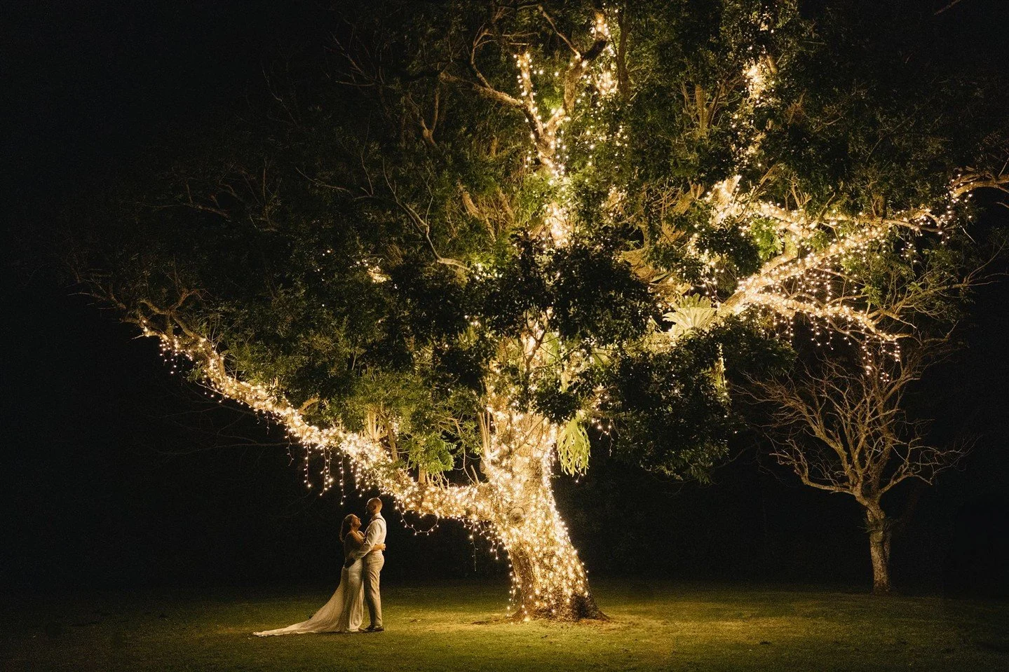 The Rosewood tree, it's a special one 🖤 #TheWhiteStag⁠
⁠
Caryn &amp; David by @samwyperphotography⁠
Venue @rosewood_estate⁠
Venue Management @the.white.stag