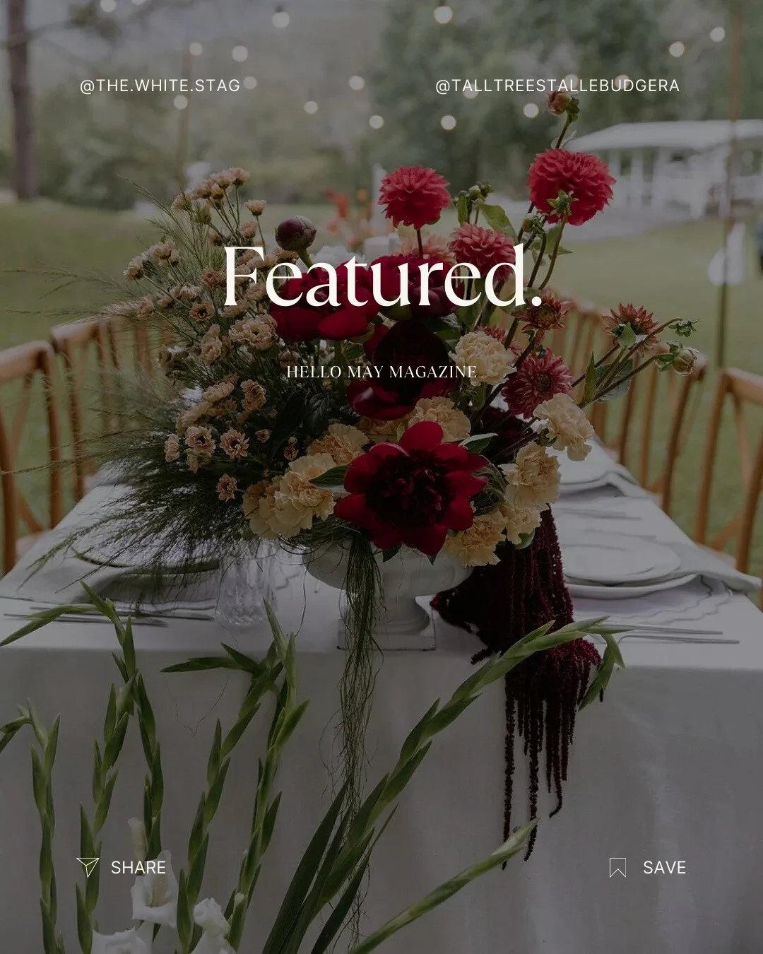 @talltreestallebudgera has been featured in @hellomaymagazine 🖤 #TheWhiteStag⁠
⁠
Tall Trees is able to accommodate anything from intimate elopements and micro weddings, to complete wedding and reception packages 📩 get in touch via email or our webs