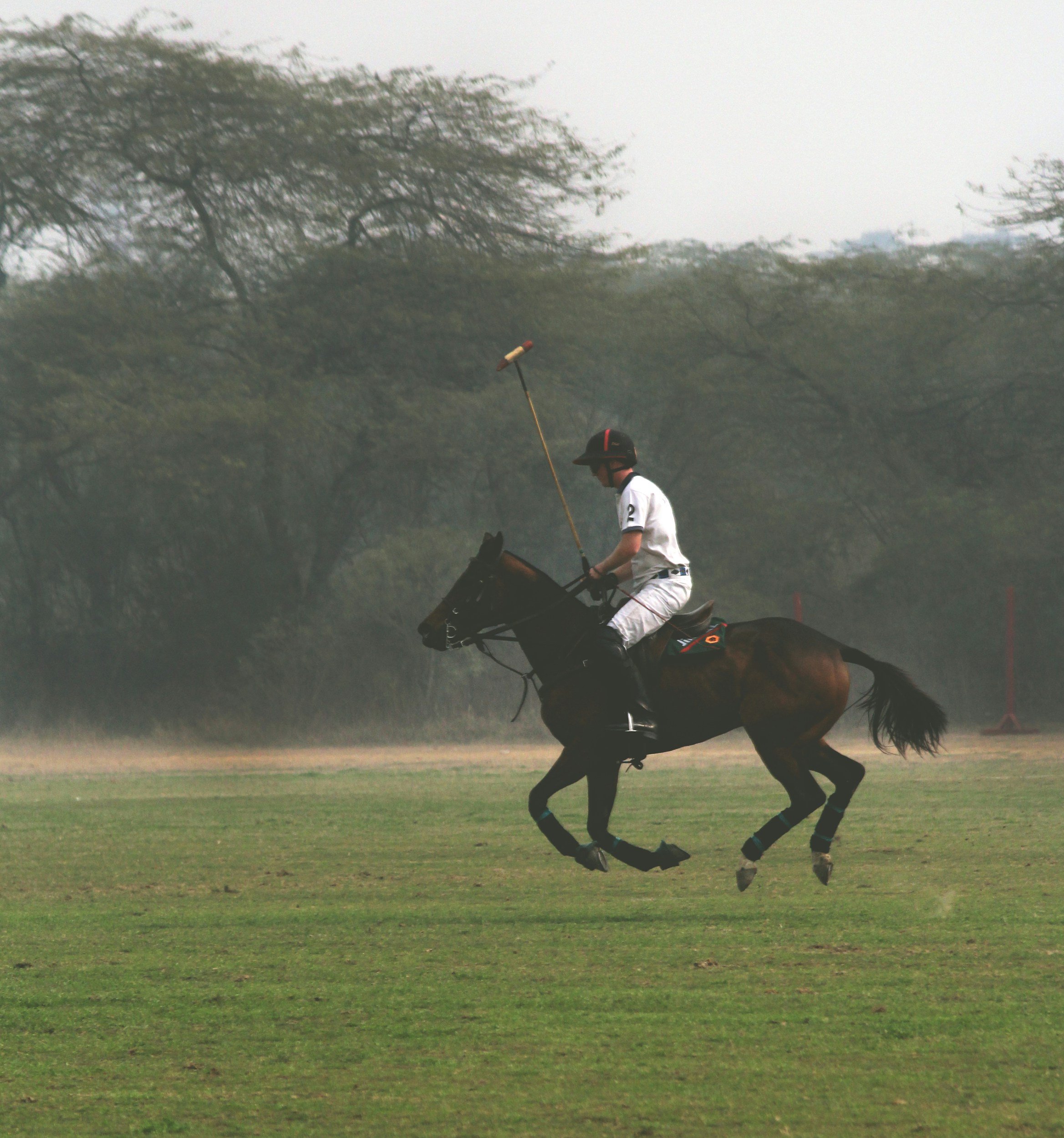 A polo player on a galloping horse holding a polo mallet in a grassy field with trees in the background.