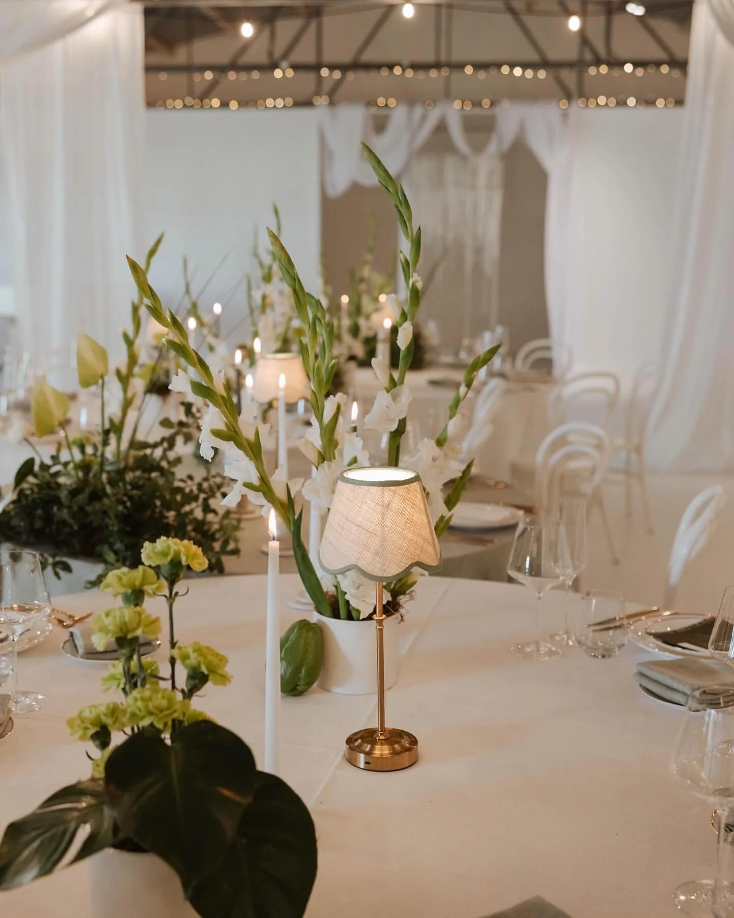 Flashback to this spectacular caterpillar reception set up by @demavi_weddings in collaboration with @panoramaeventsaus at @talltreestallebudgera 🖤 #TheWhiteStag⁠
⁠
Venue - @talltreestallebudgera⁠
Venue Management - @the.white.stag⁠
Florist - @demav