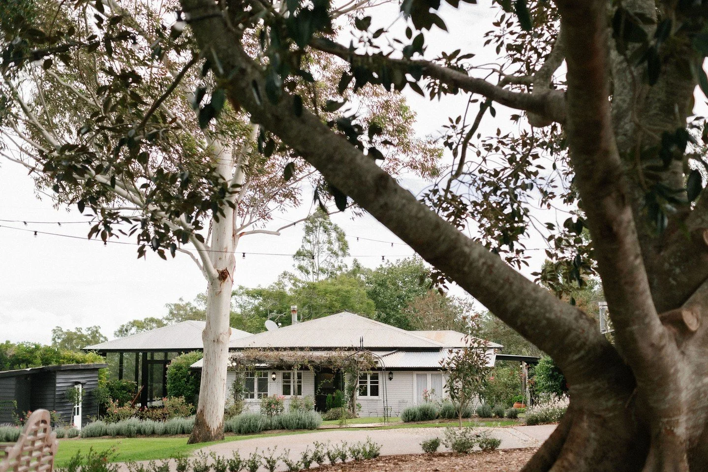 Bunnyconnellen, swiftly becoming a firm favourite🖤 #TheWhiteStag⁠
⁠
A high country farm with a rich history dating back to the 1800s, now reimagined as an exclusive setting for bespoke country weddings. From garden ceremonies beneath the fig trees t
