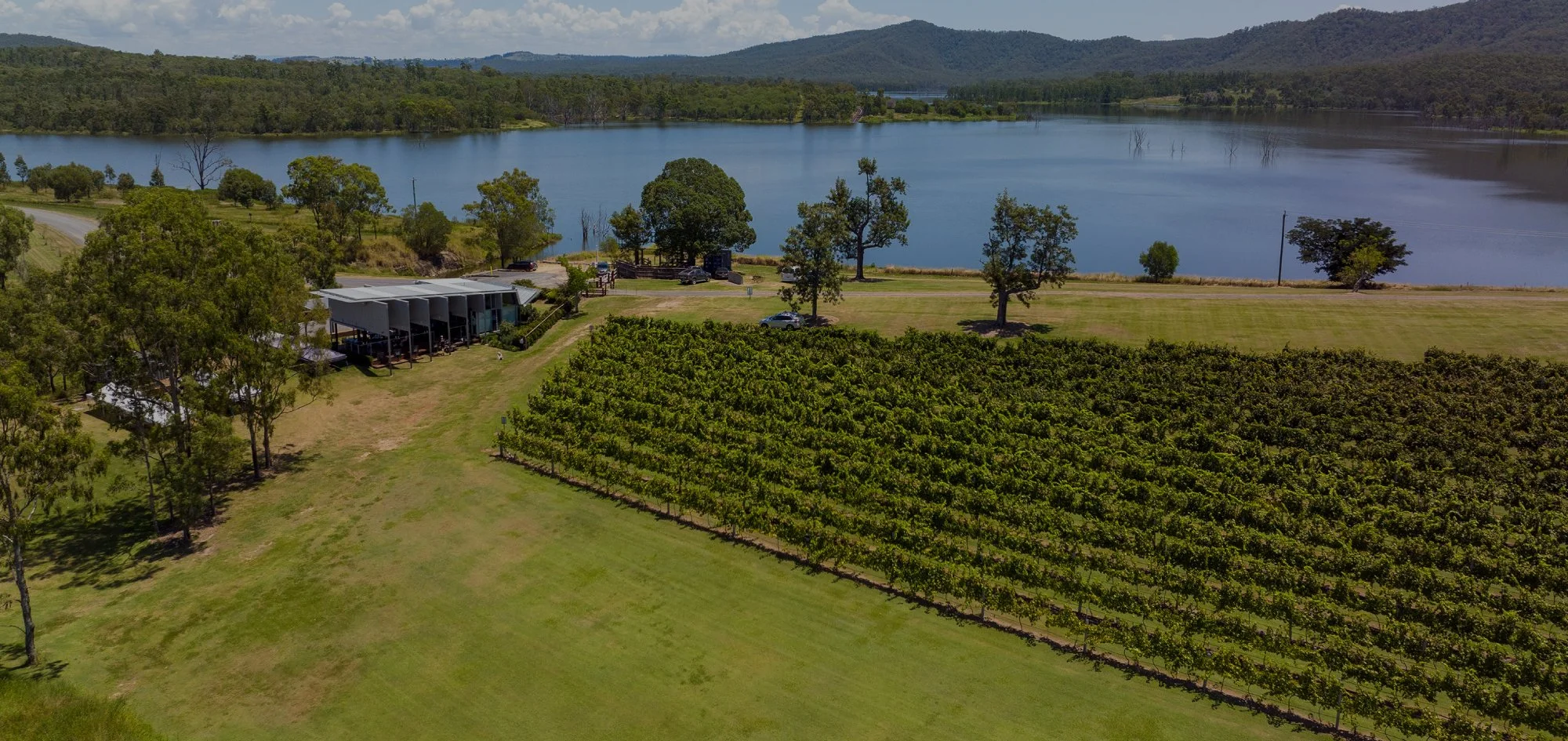 Aerial view of a vineyard near a lake, with a modern building, trees, and distant hills under a partly cloudy sky.
