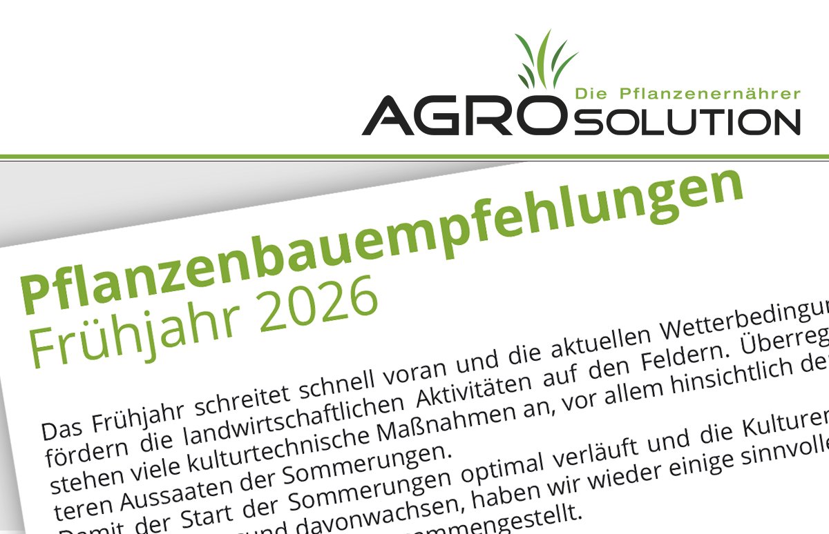 Rundschreiben II - 03/26