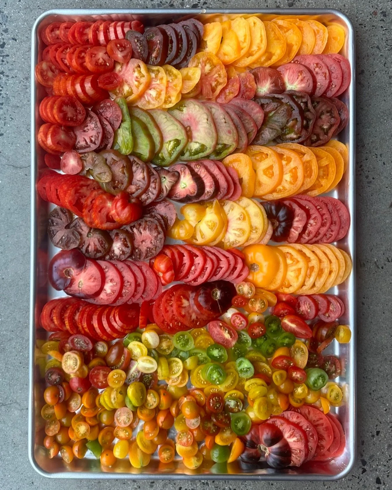 tomatoes tomatoes 🍅