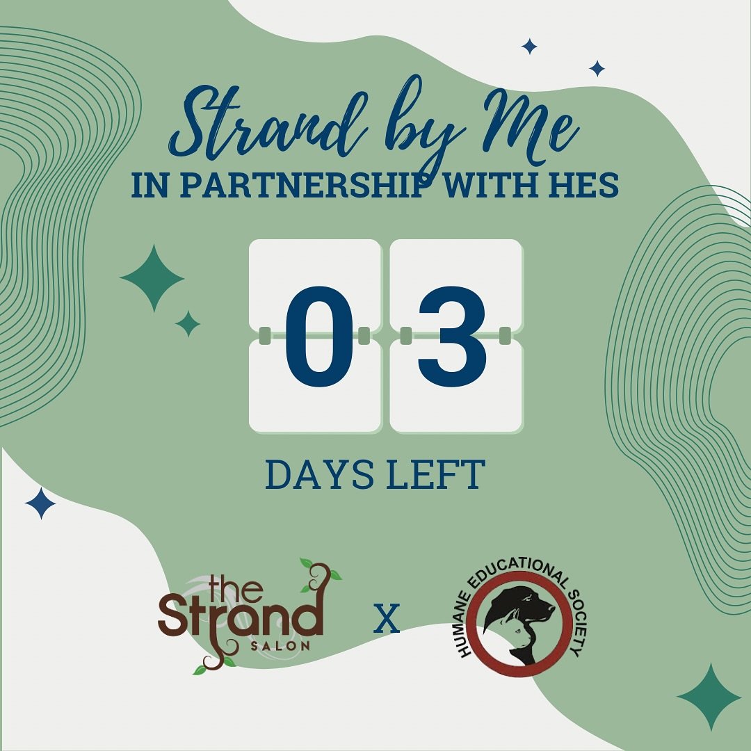 🌿 3 MORE DAYS! 🌿

☀️ We are so excited for everyone to see all the furry friends HES has for that night! 

☀️ Thinking of adopting a furry friend? Come visit us at 375 Cherry St. on Friday 5:00 PM - 8:00 PM! 

#chattanooga #chattanoogahair #downtow