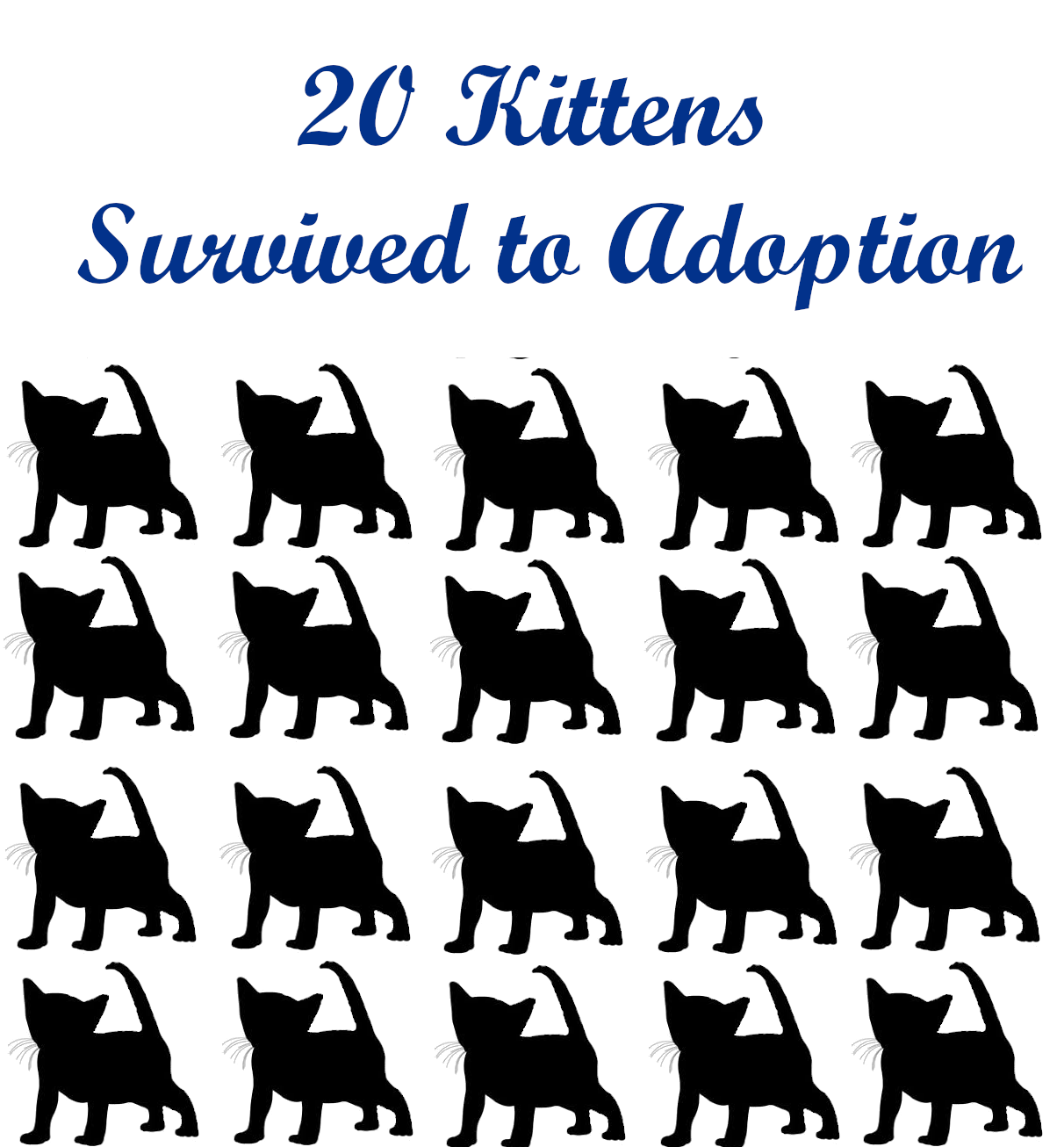 2024 Survival to adoption.png