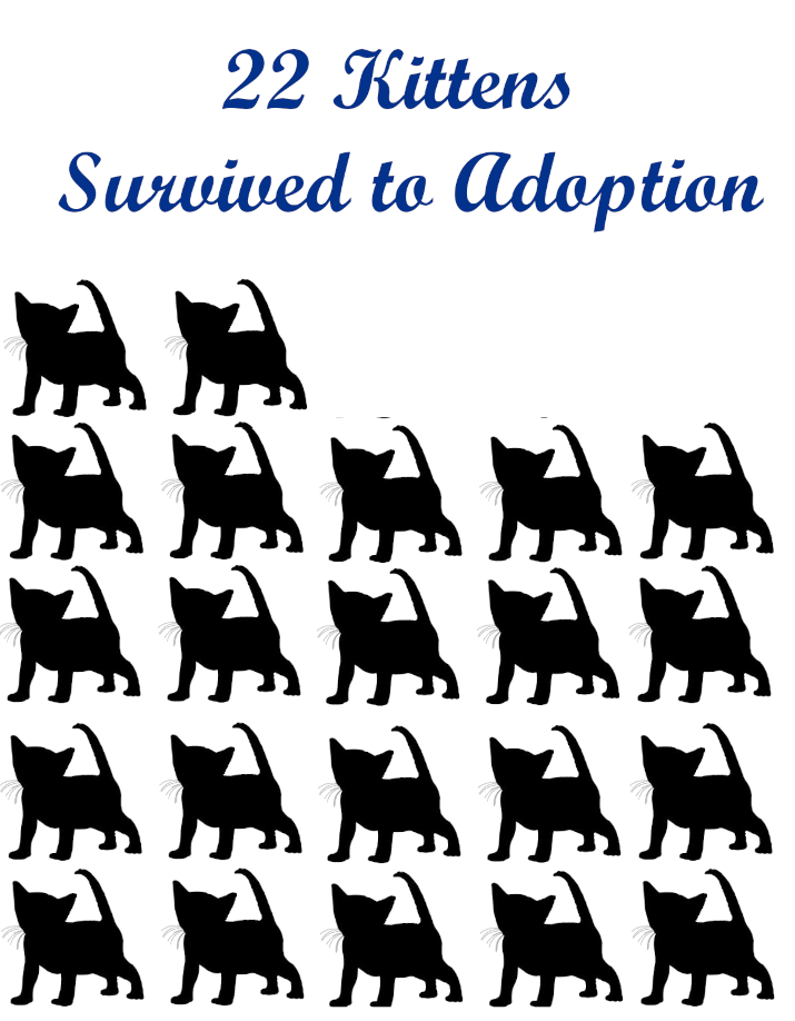2025 Survival to adoption.png