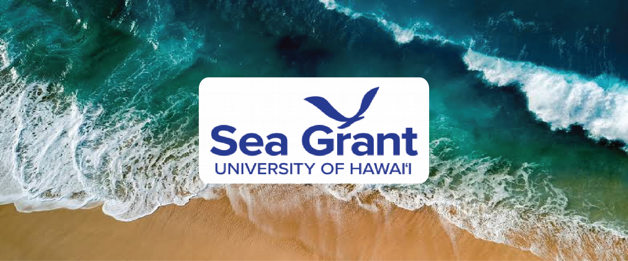 HMEC and Hawaiʻi Sea Grant Announce Formal Collaboration to Advance Marine Energy Engagement