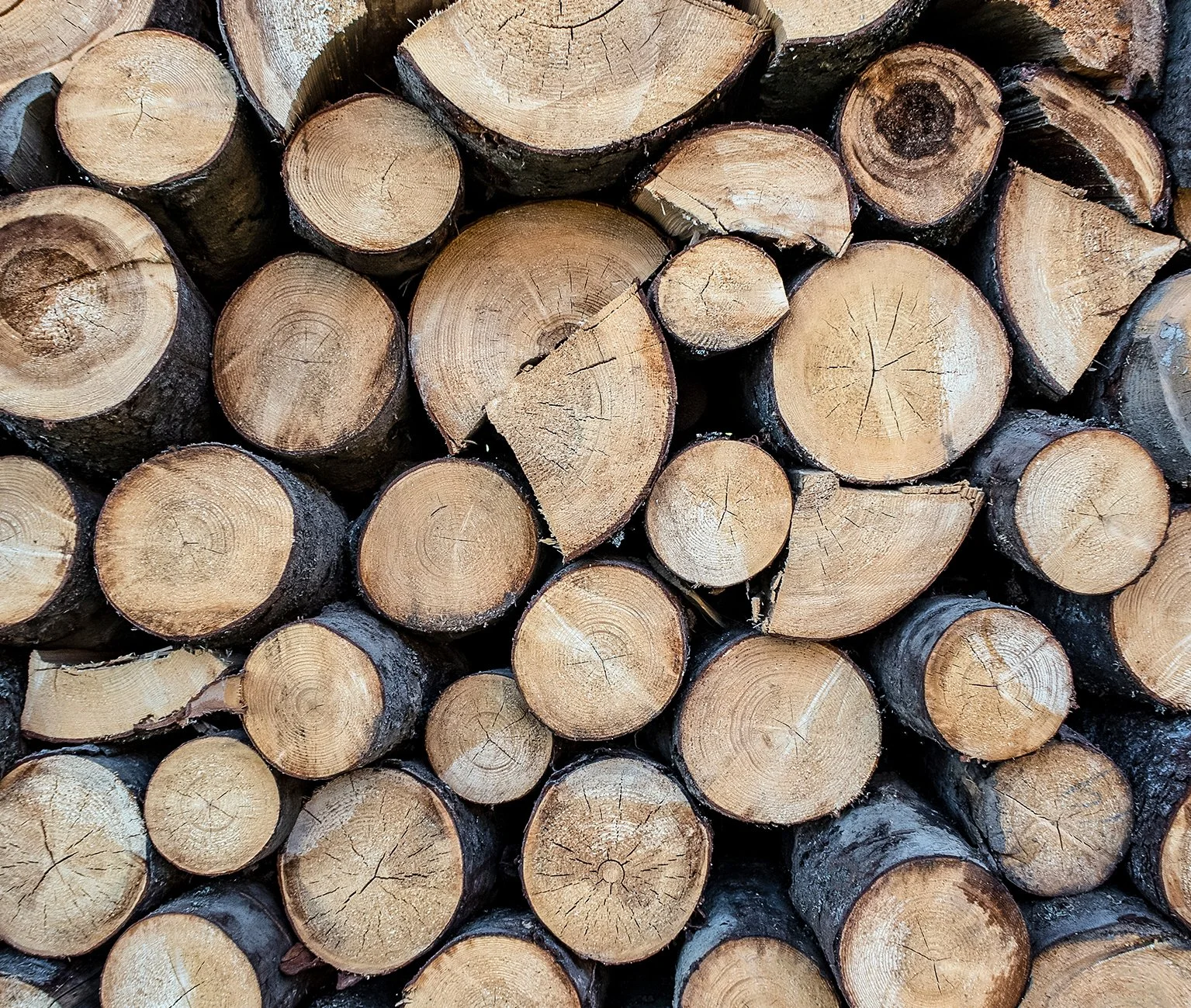 stacked logs illustrating the potential for wood pulp boards as an alternative to foamex