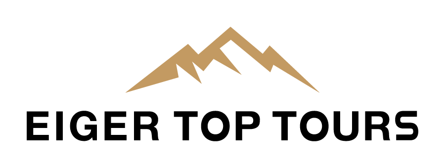 A stylized mountain logo in black and gold with the words "Mountain View" underneath.