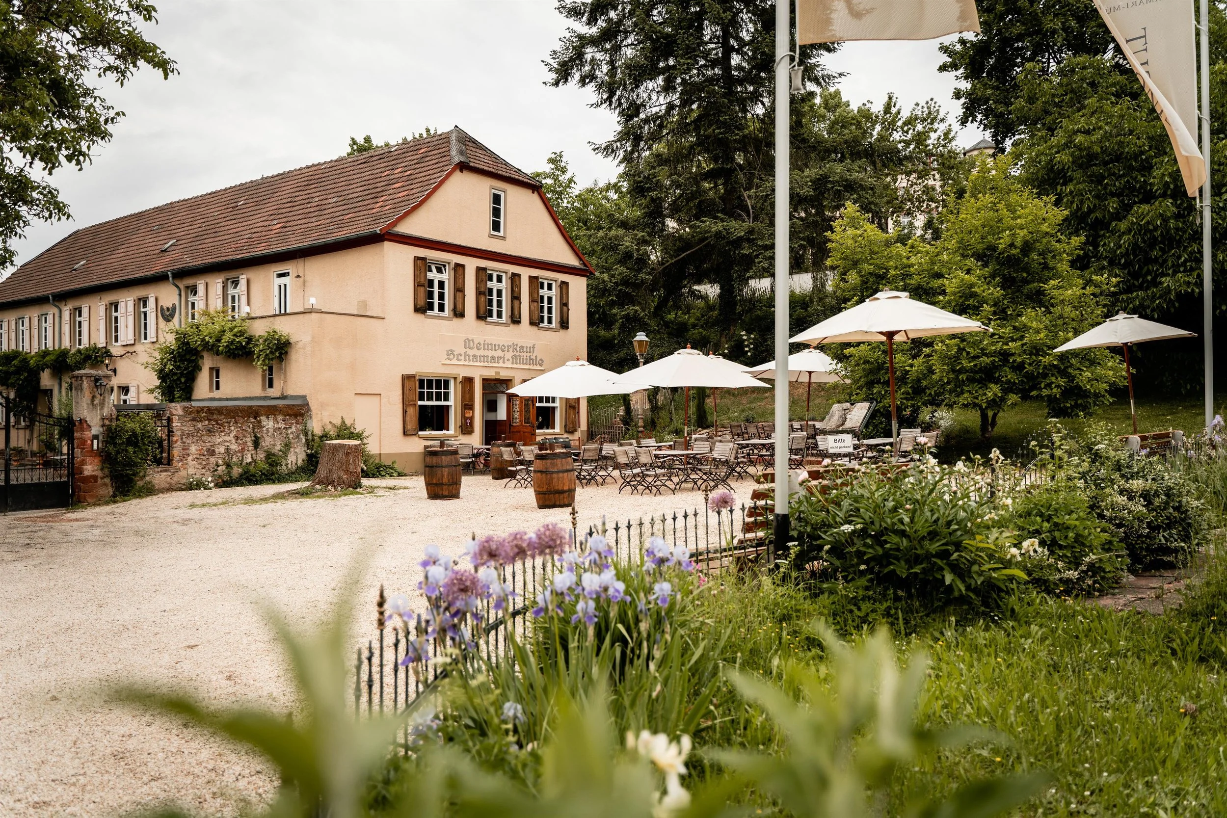 Gemeinsames BBQ: 20-Jahr-Feier und Stiftungsdinner