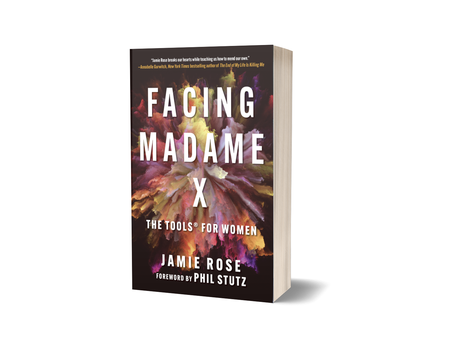 Book cover for Facing Madame X