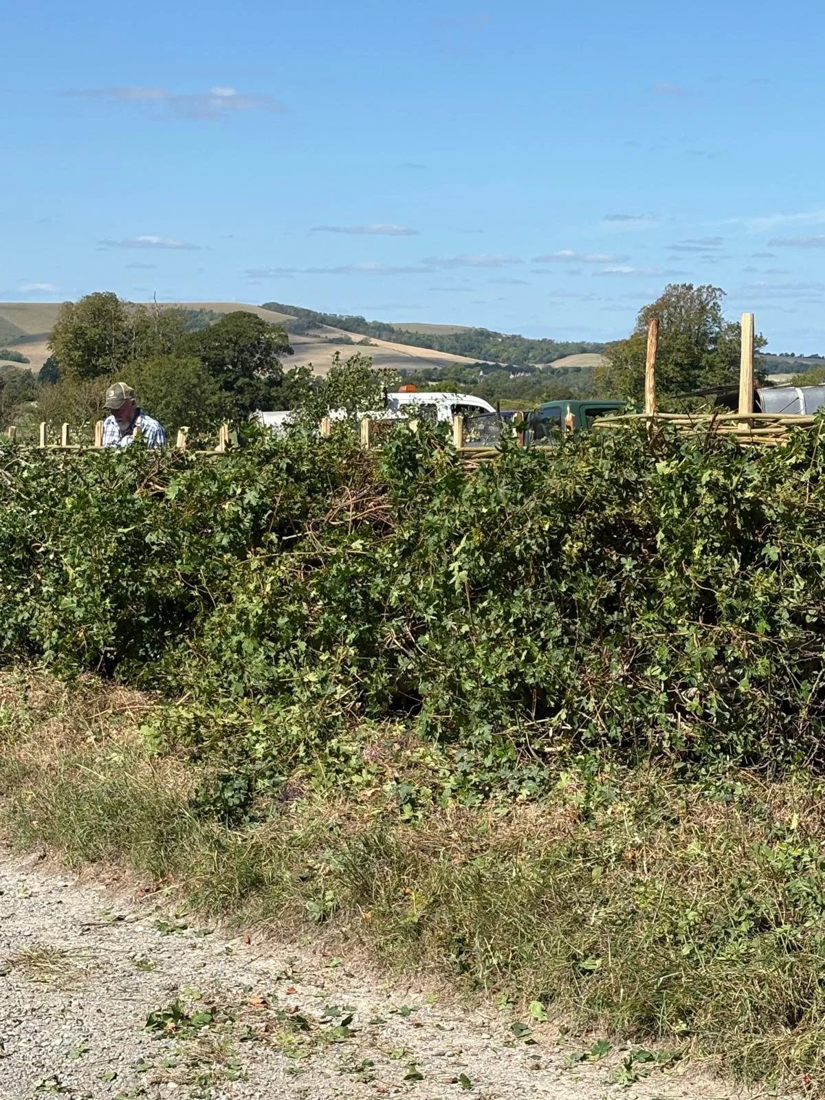 Hedge 2026 13.jpeg