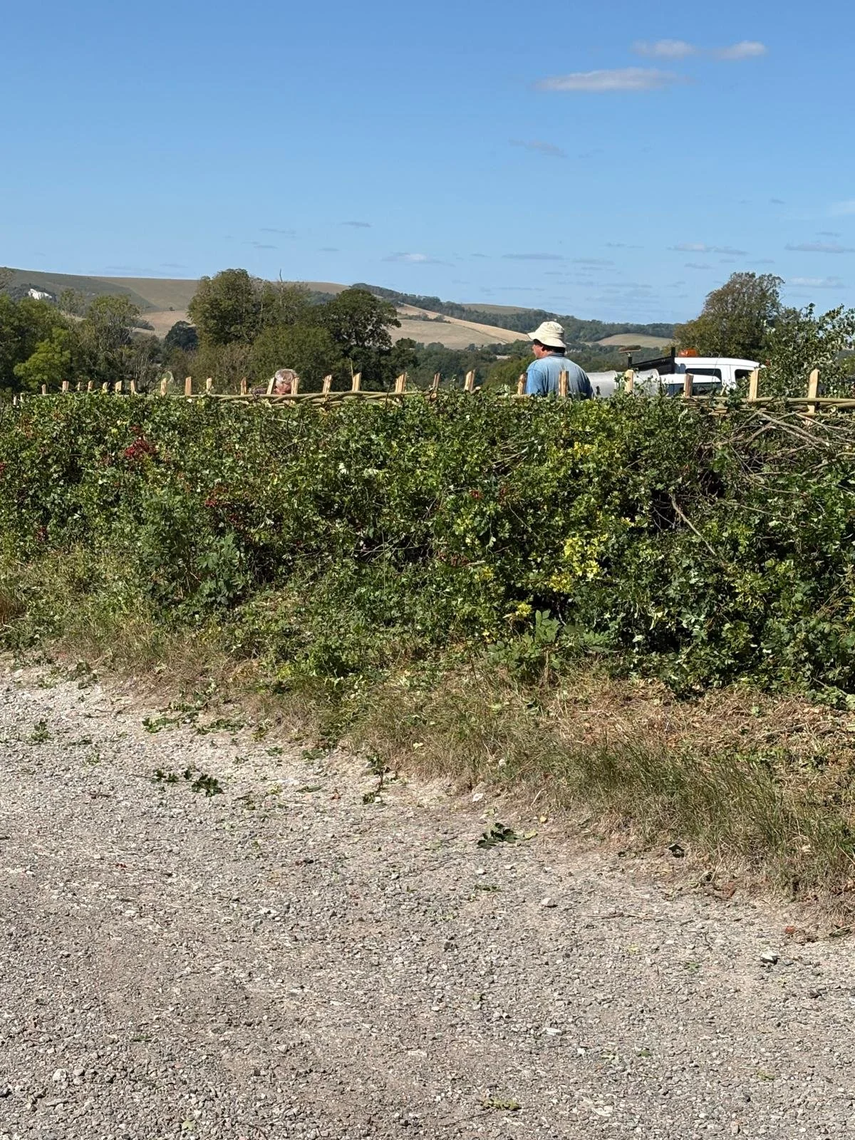 Hedge 2026 14.jpeg