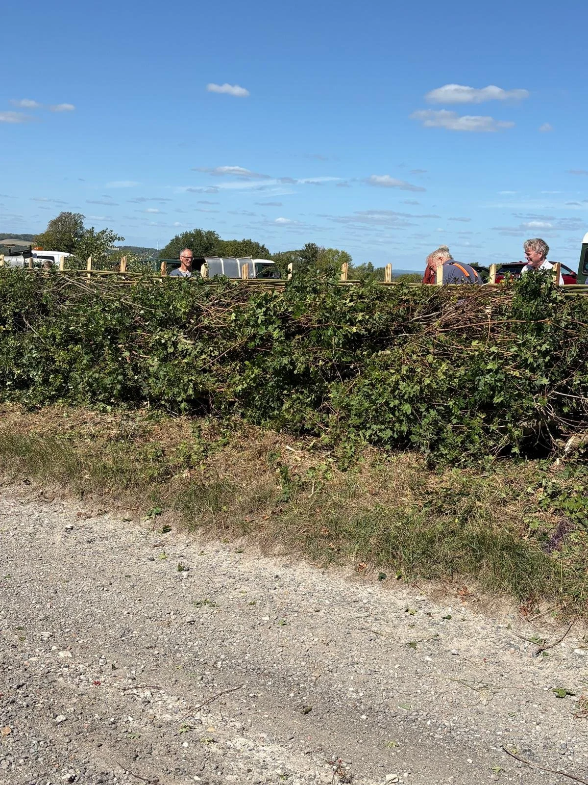 Hedge 2026 15.jpeg