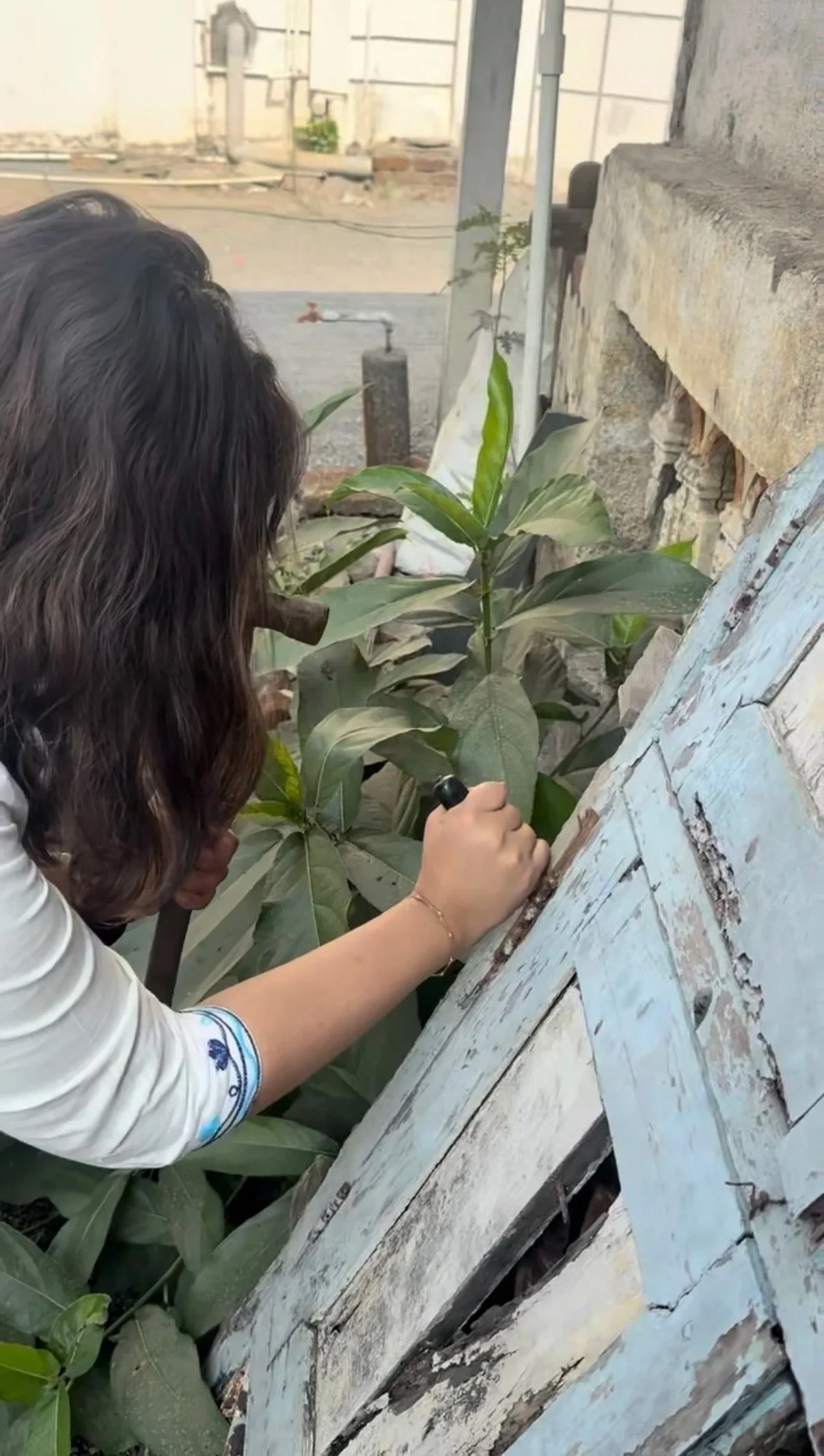 A woman with brown hair, wearing a white top with blue embroidery, is removing weathered wooden windows.