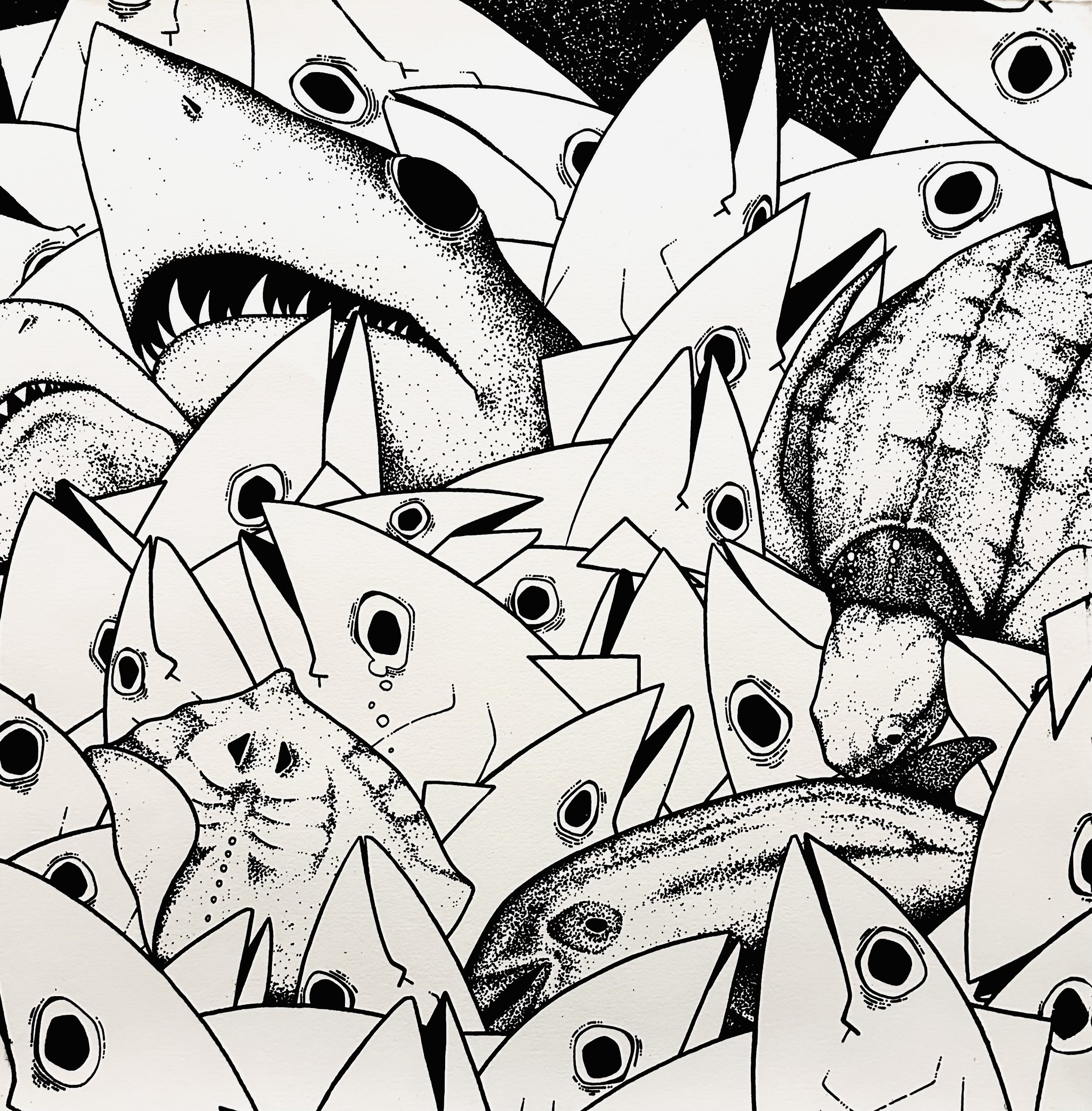 Bycatch